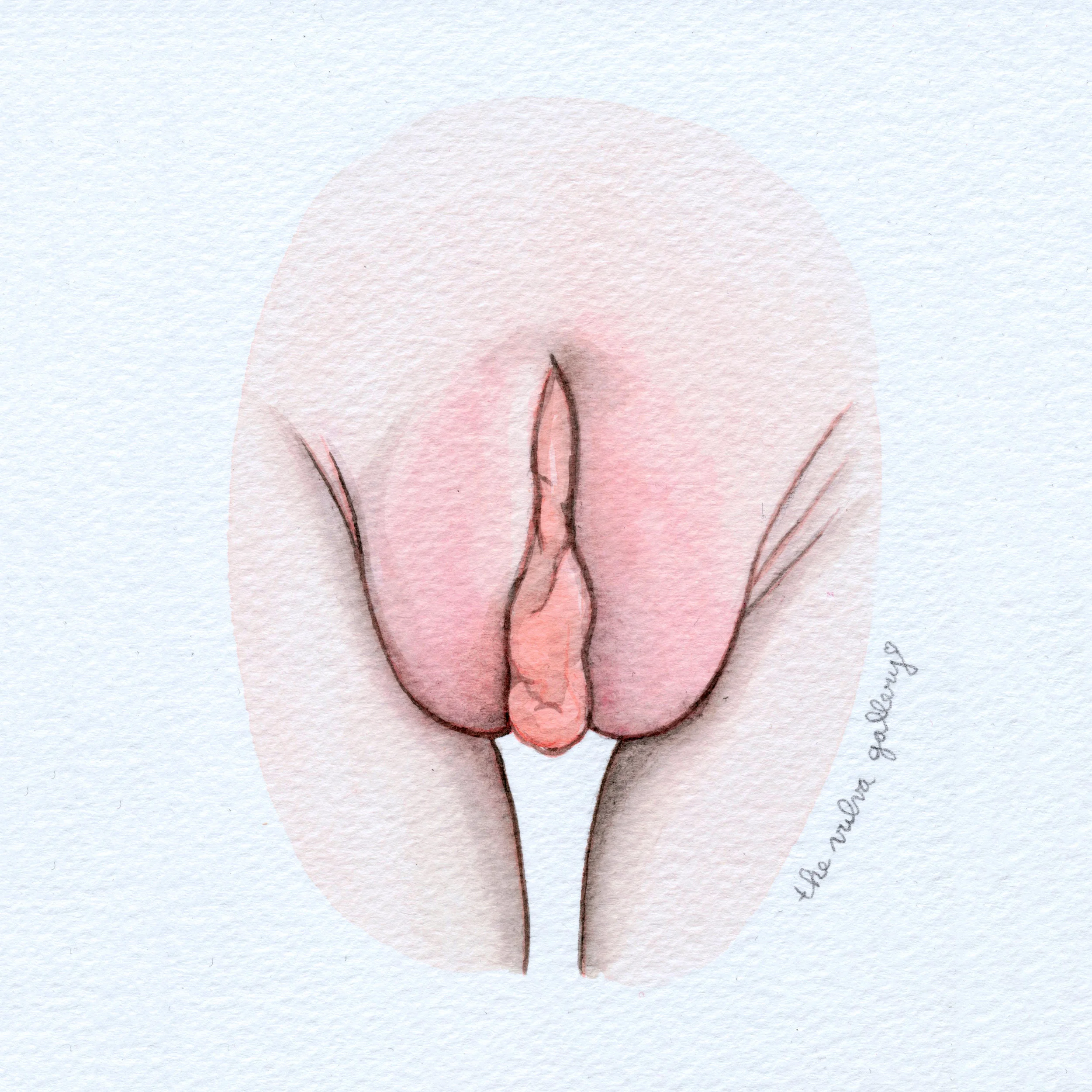 Gigantic Vulva