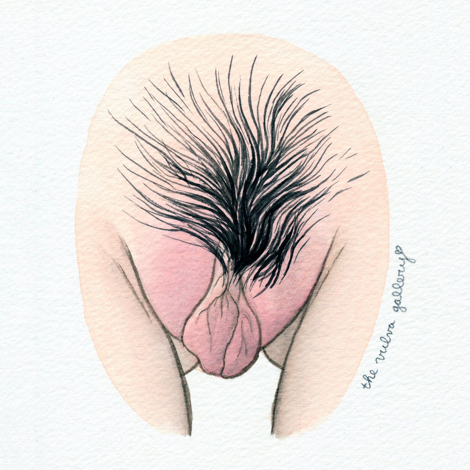 The Vulva Gallery - Vulva Portrait #204 (s).jpg. 