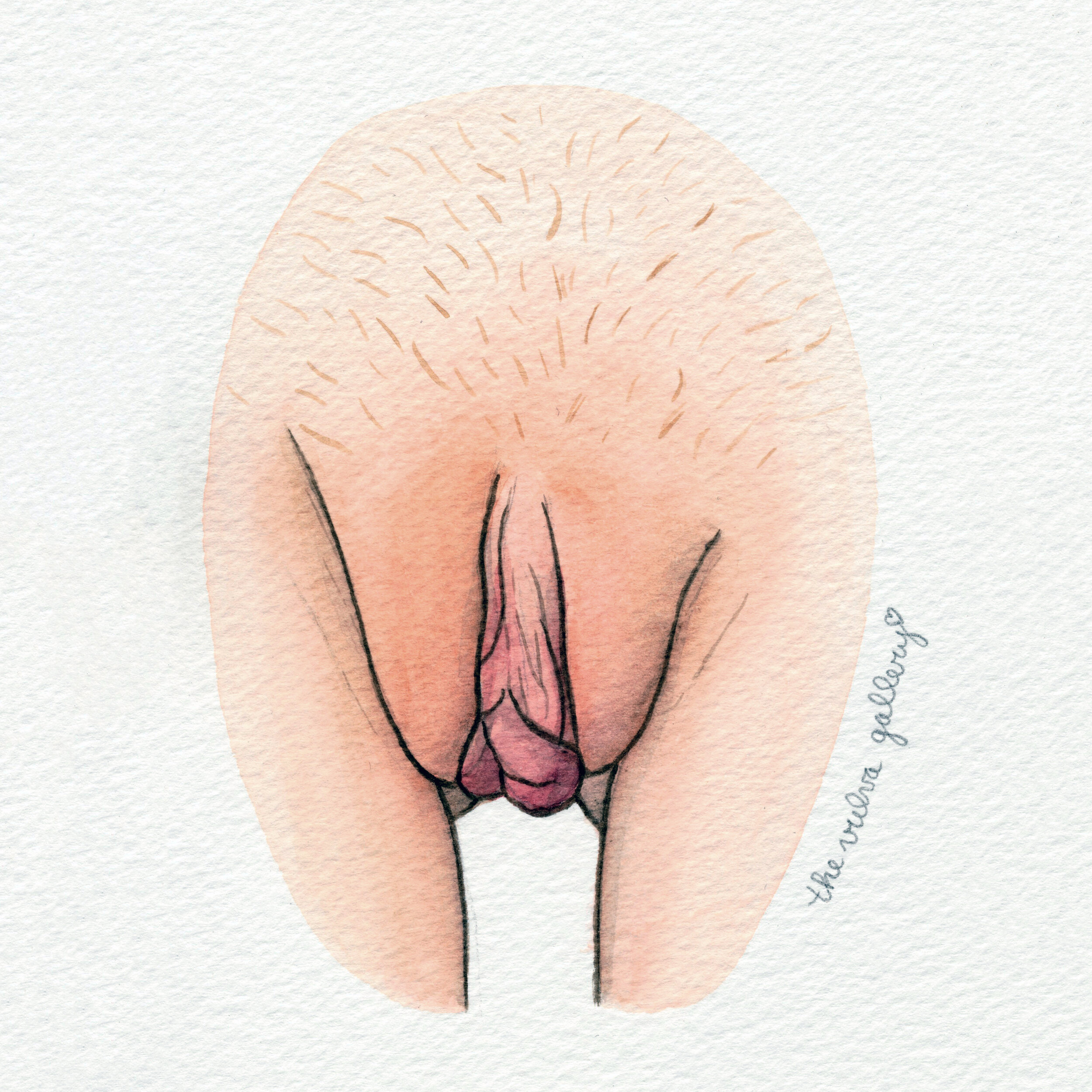 The Vulva Gallery - Vulva Portrait #183 (s).jpg. 