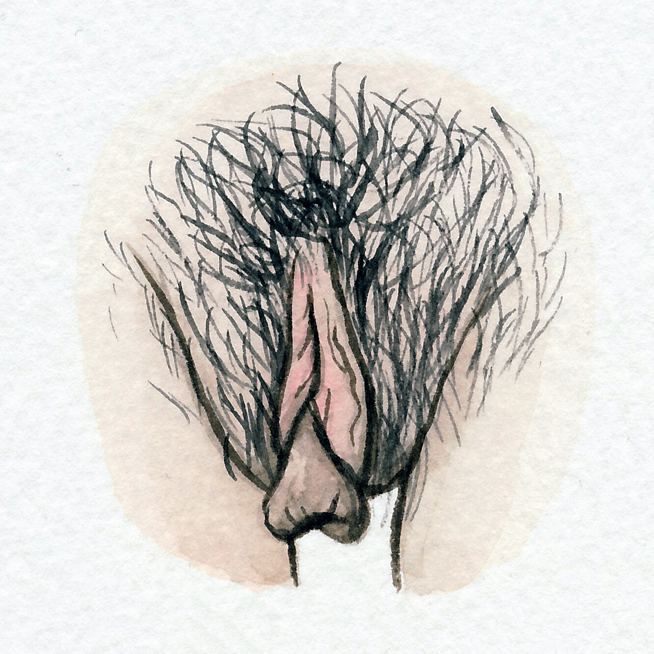 The Vulva Gallery - Vulva Portrait #65.jpg.