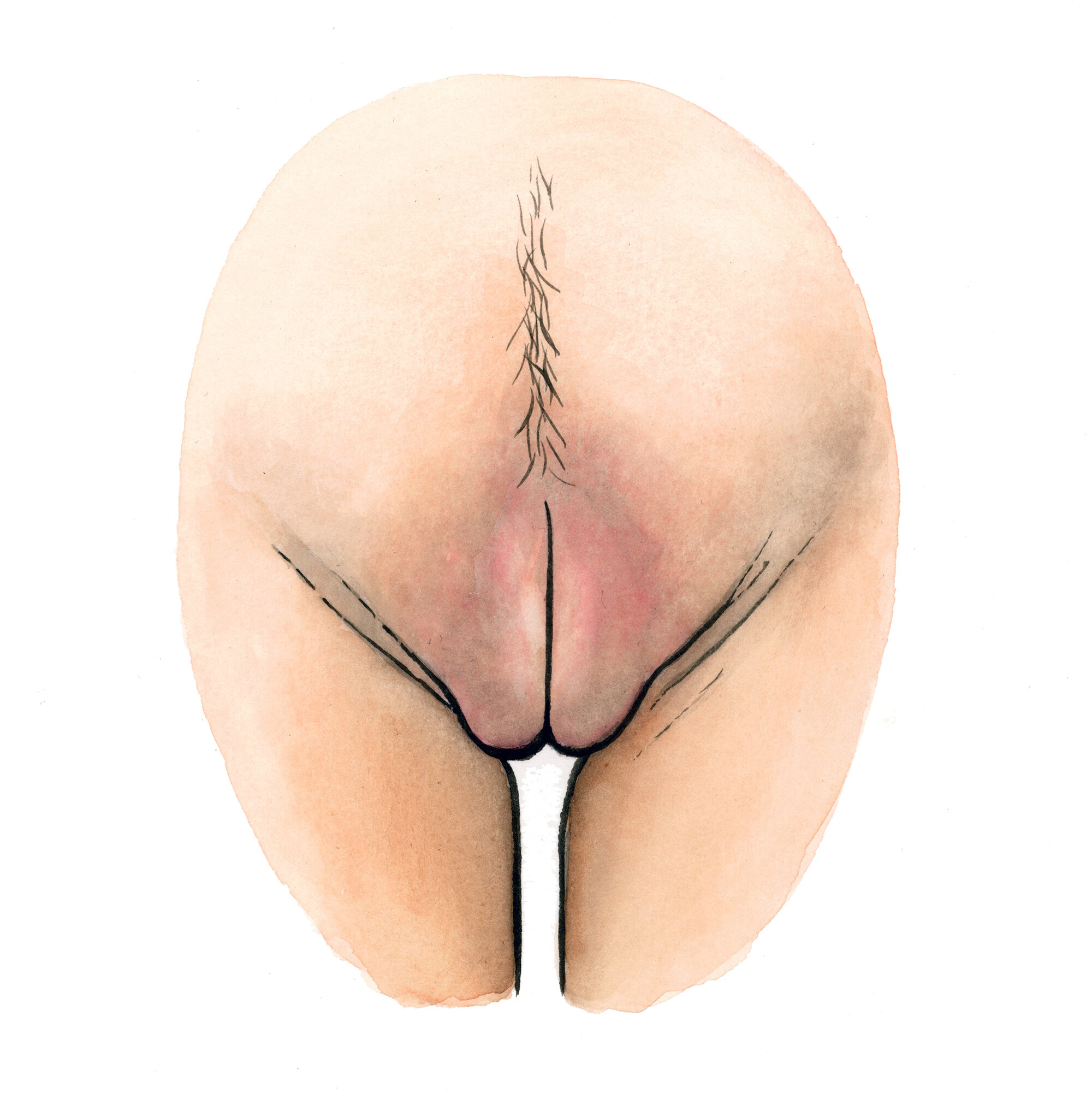 Galerie vulva