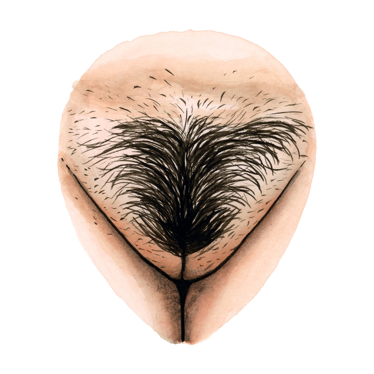 Pubic hair stories — The Vulva Gallery