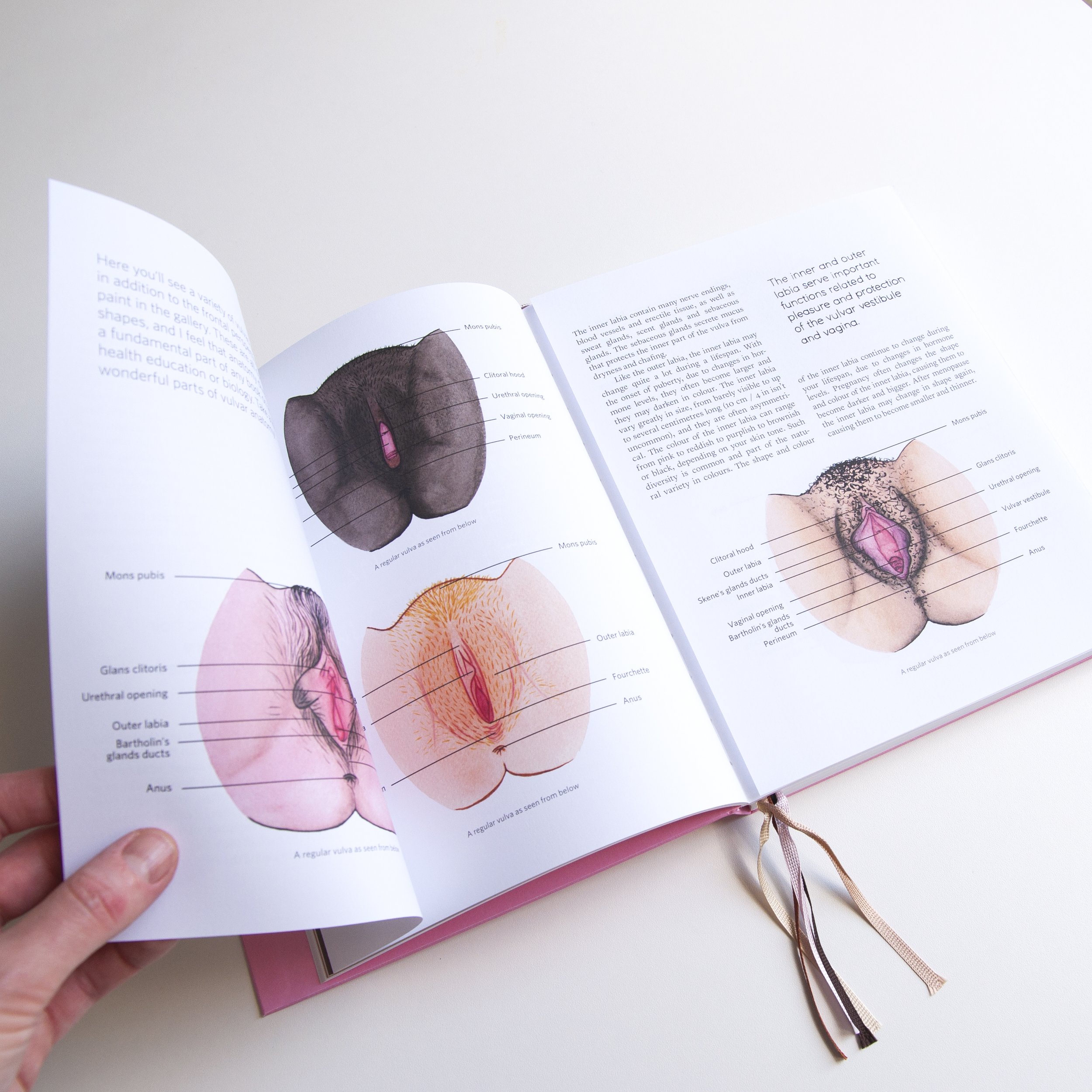 Vulva Shapes