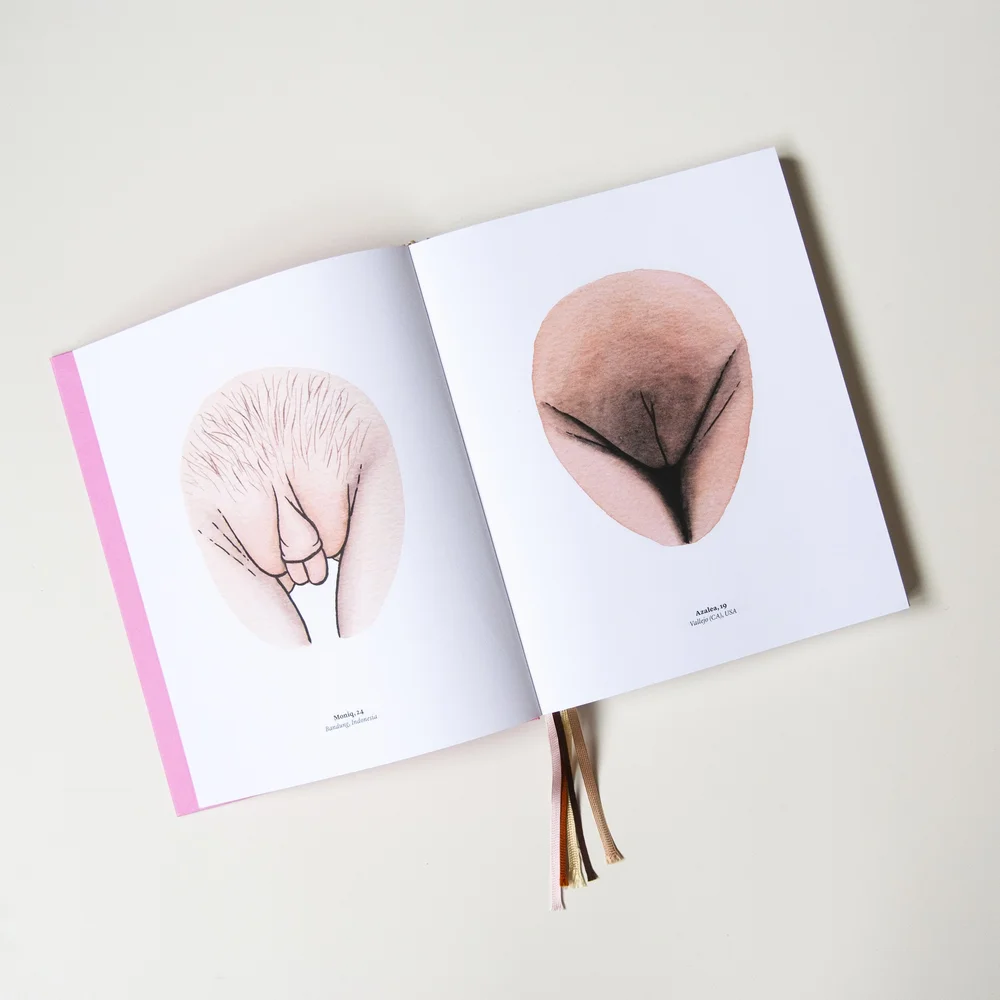The Big Book Of Pussy Pdf