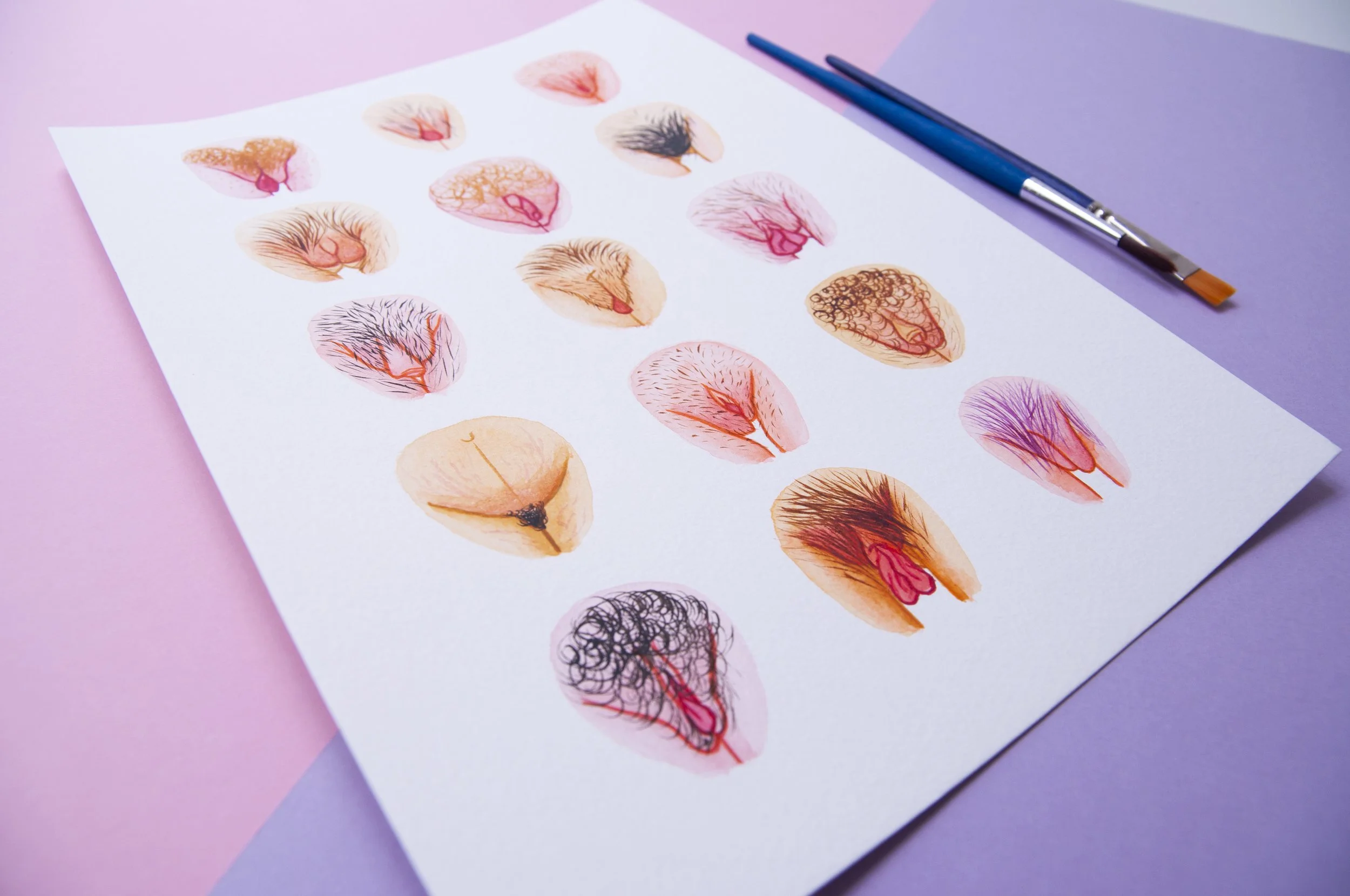 Original Watercolour Vulva Diversity IV The Vulva Gallery Original Watercolour Vulva Diversity IV The Vulva Gallery