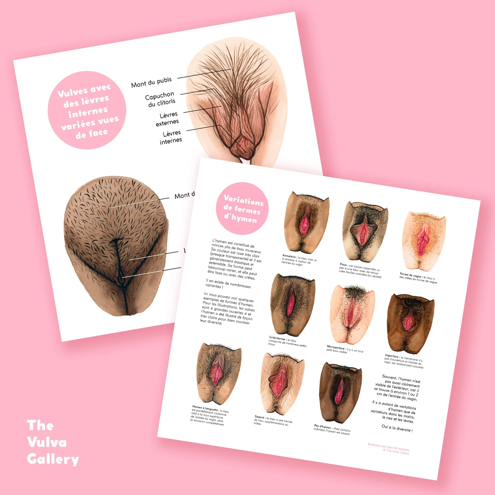 Education Print Set – Image 7 – French.jpg