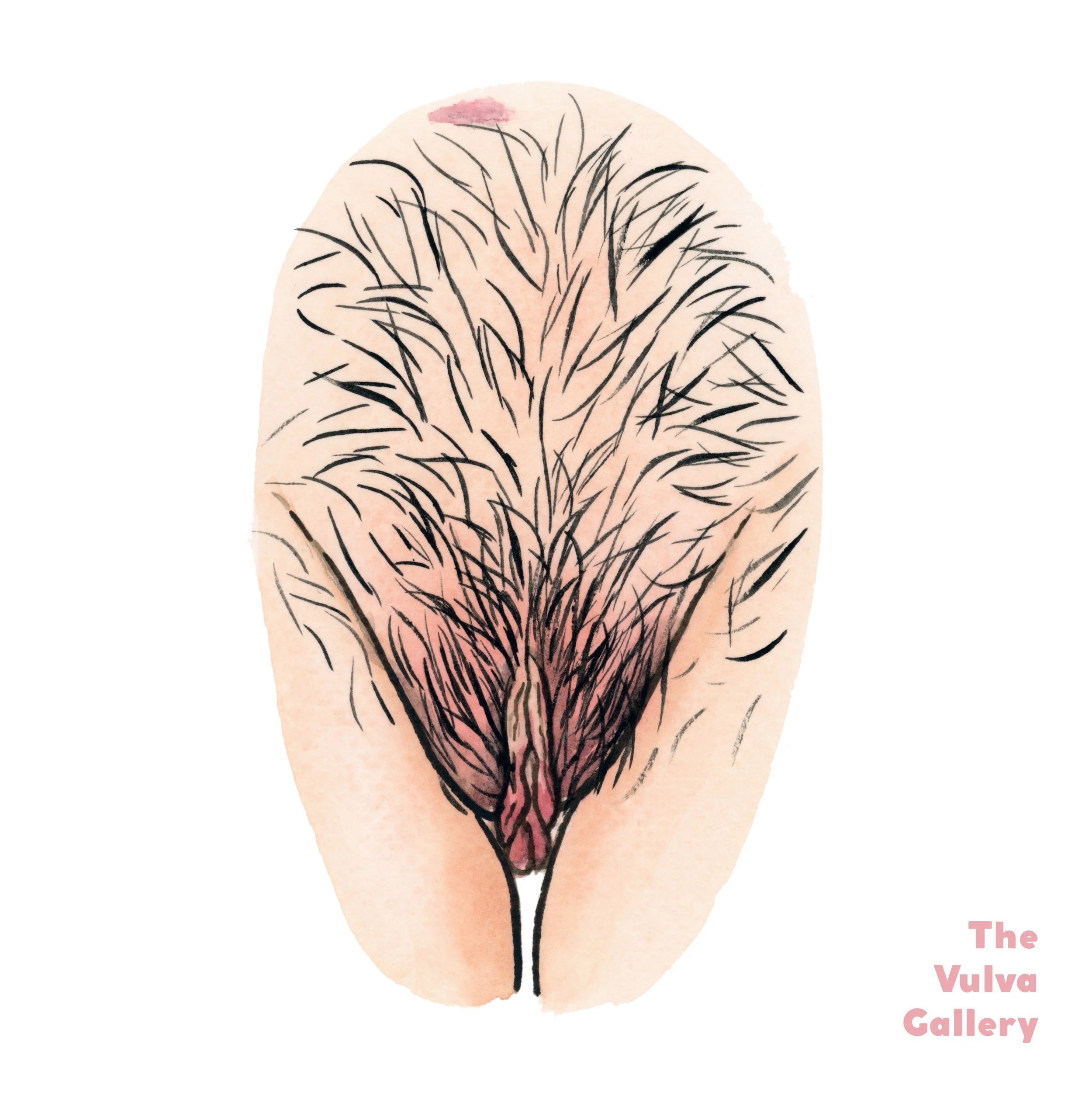 “Your vulva is art!”