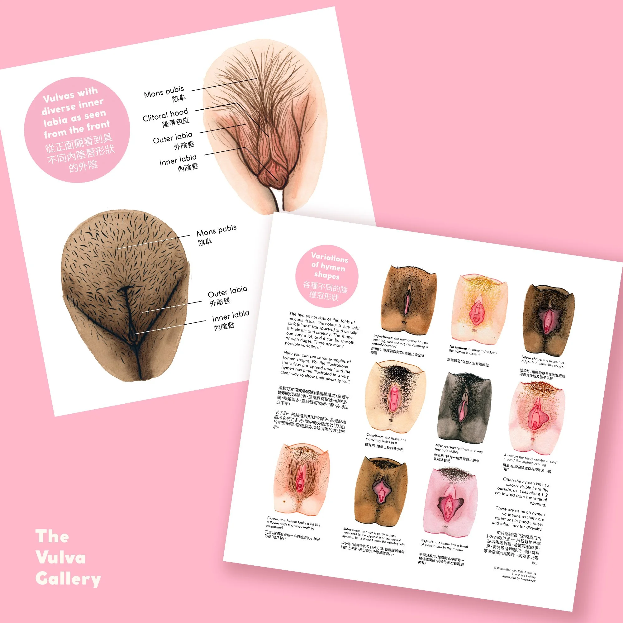 Education Print Set – Image 7 – Chinese.jpg