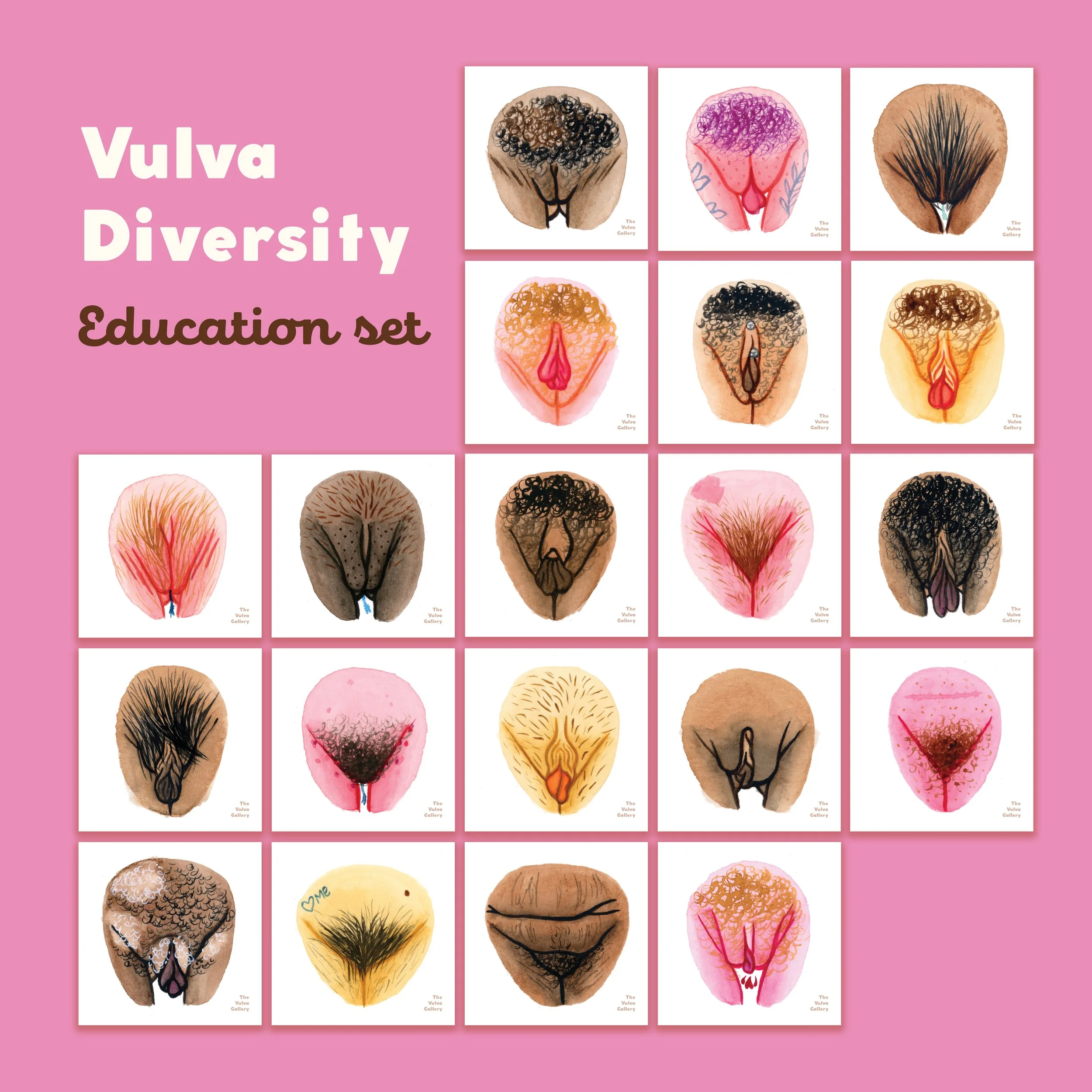 Vulva Diversity Imagery Set