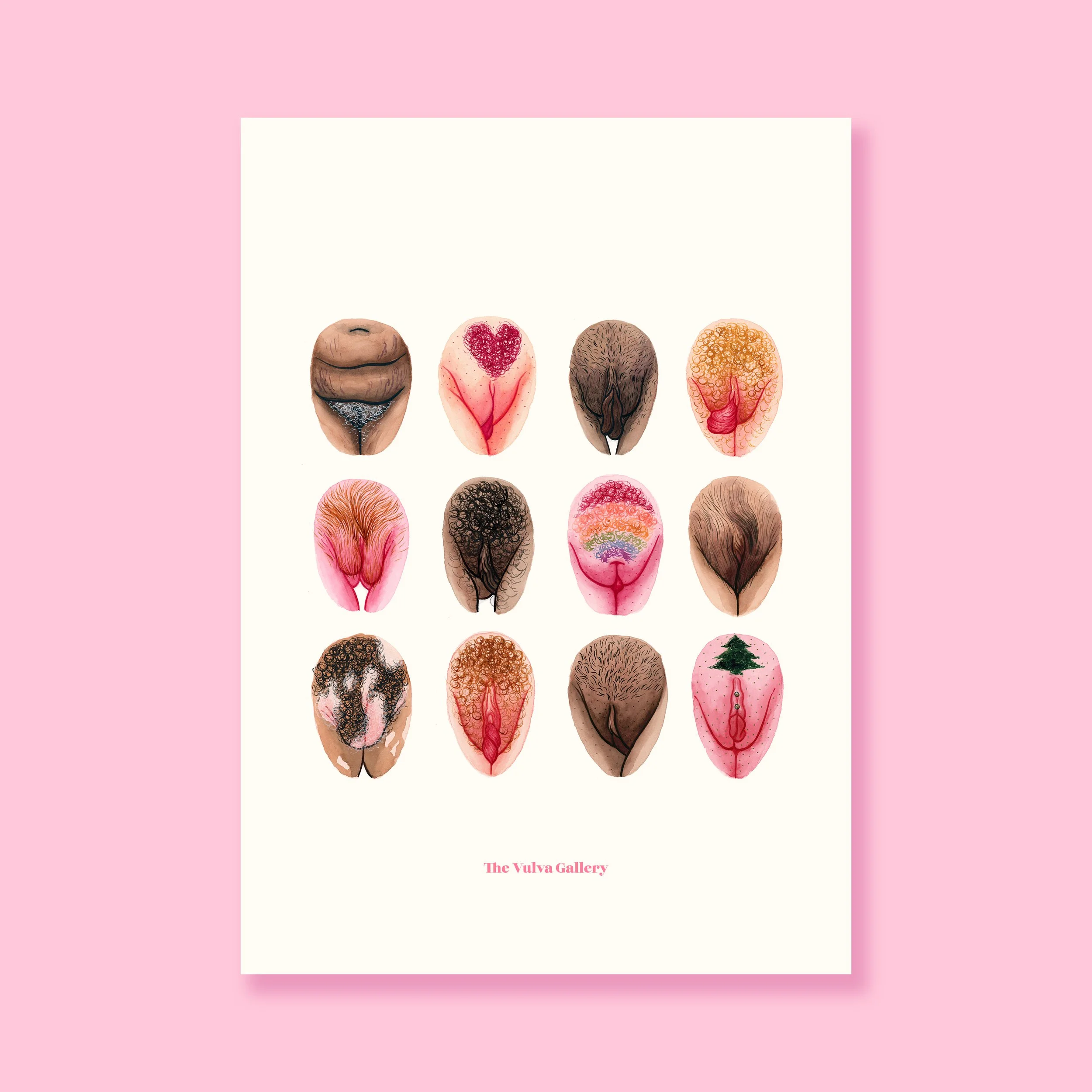 Vulva Diversity – Print 2025 – On background.jpg