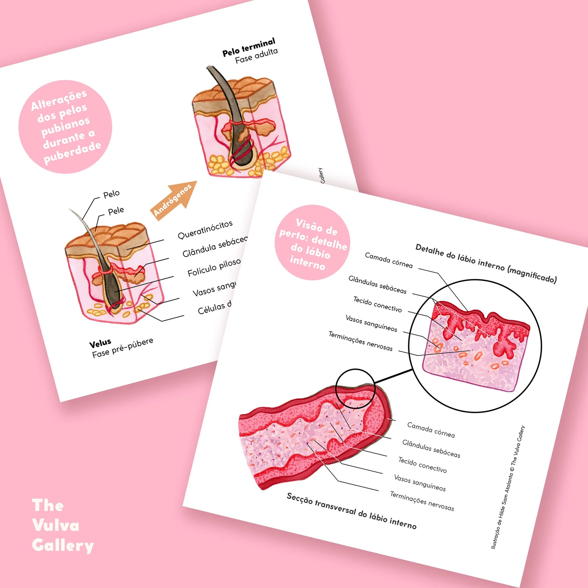 Education Print Set – Image 4 – Portuguese.jpg