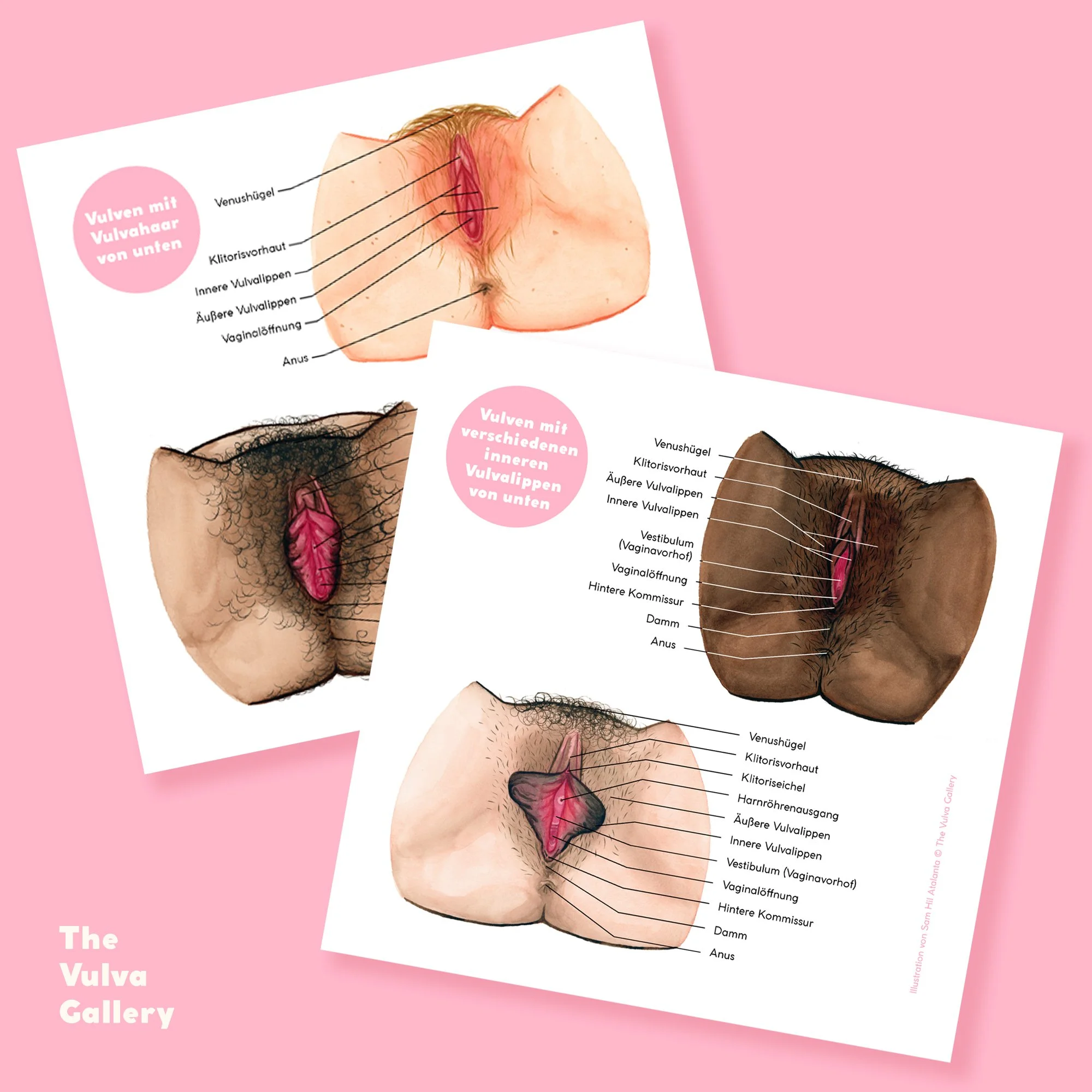 Education Print Set – Image 2 – German.jpg