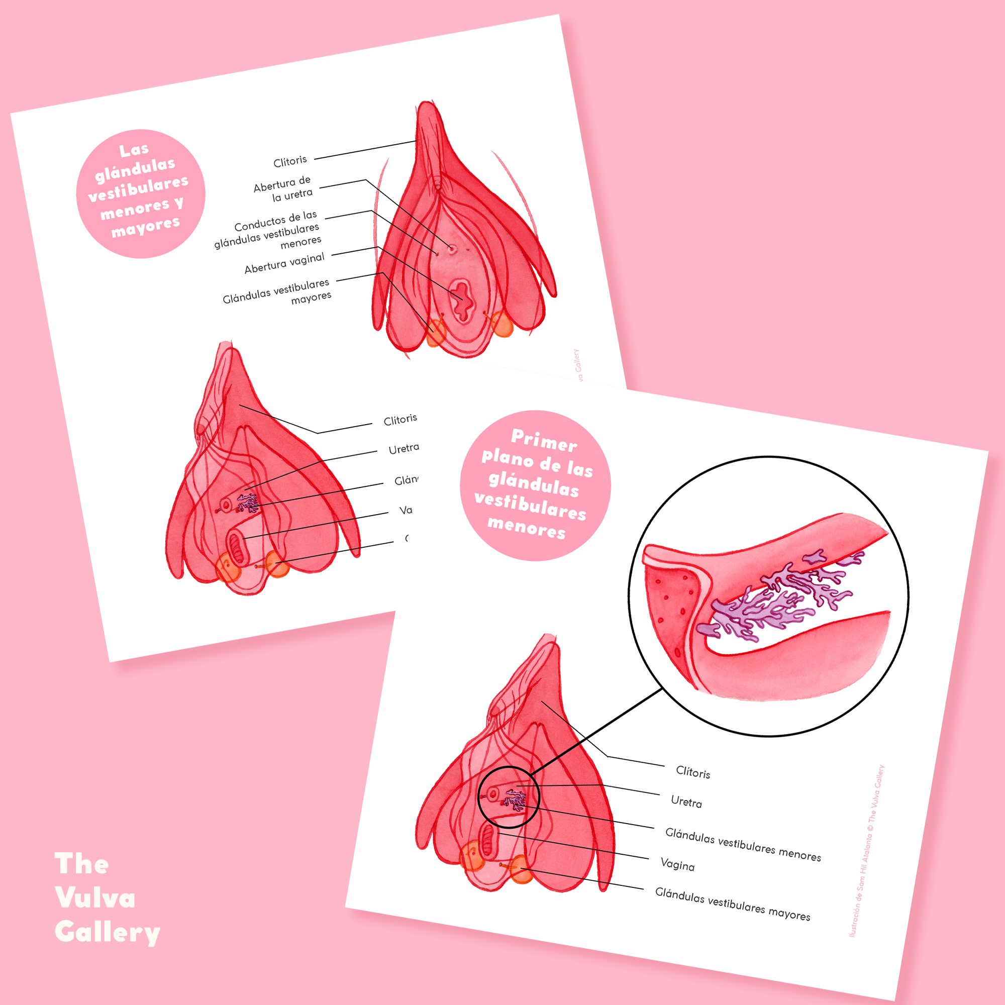 Education Print Set – Image 5 – Spanish.jpg