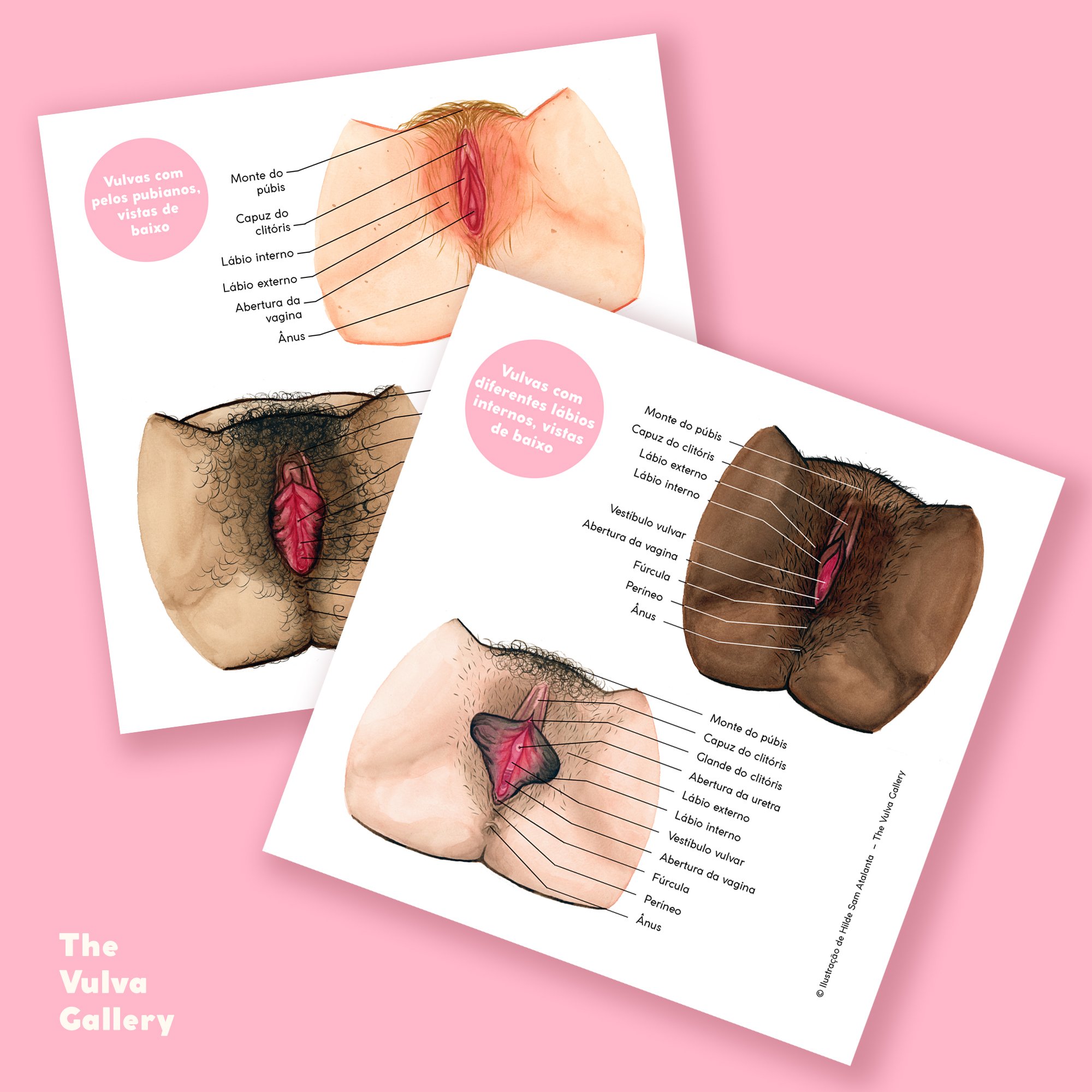 Education Print Set – Image 2 – Portuguese.jpg