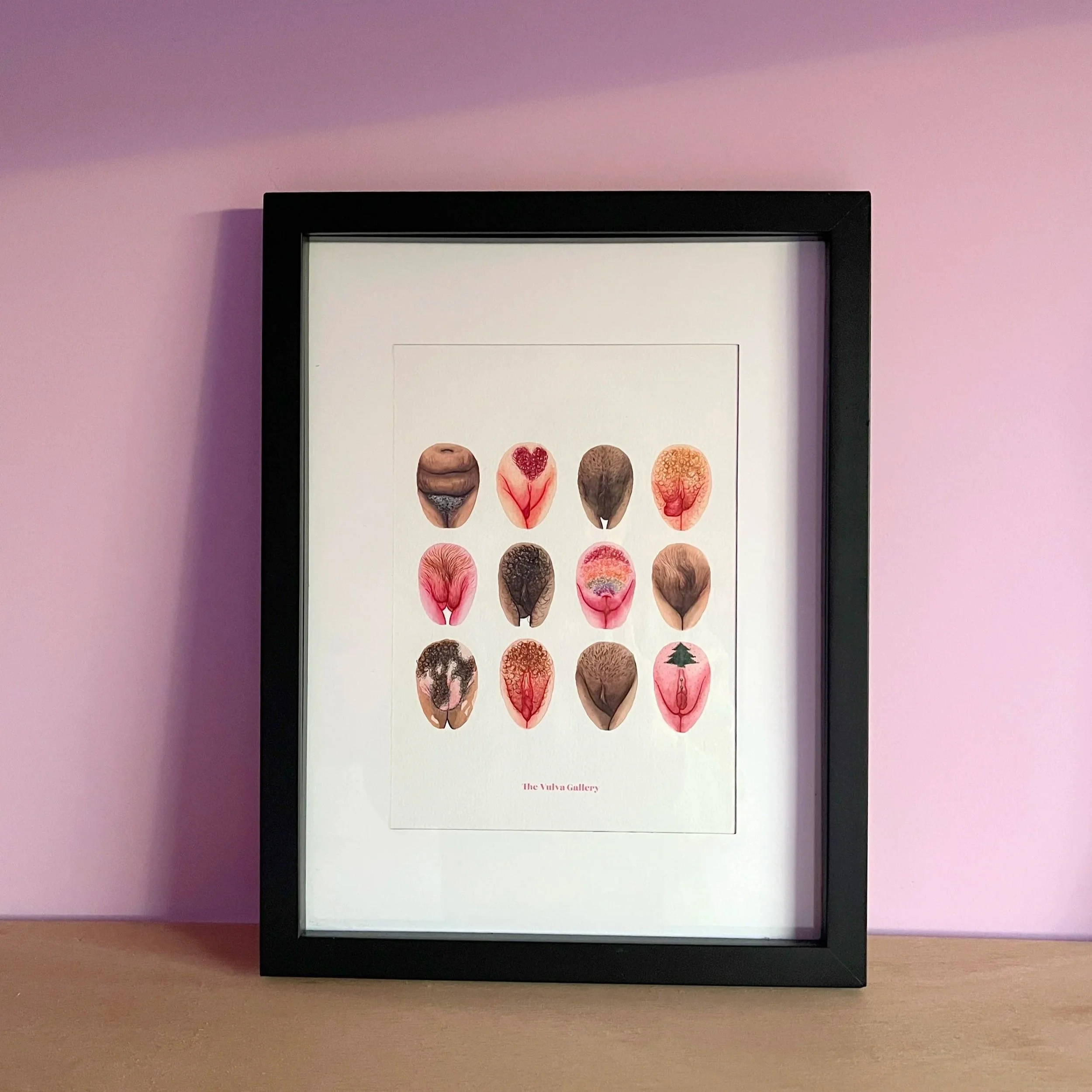 Vulva+Diversity+%E2%80%93+Print+2025+%E2%80%93+Framed+on+background.jpg