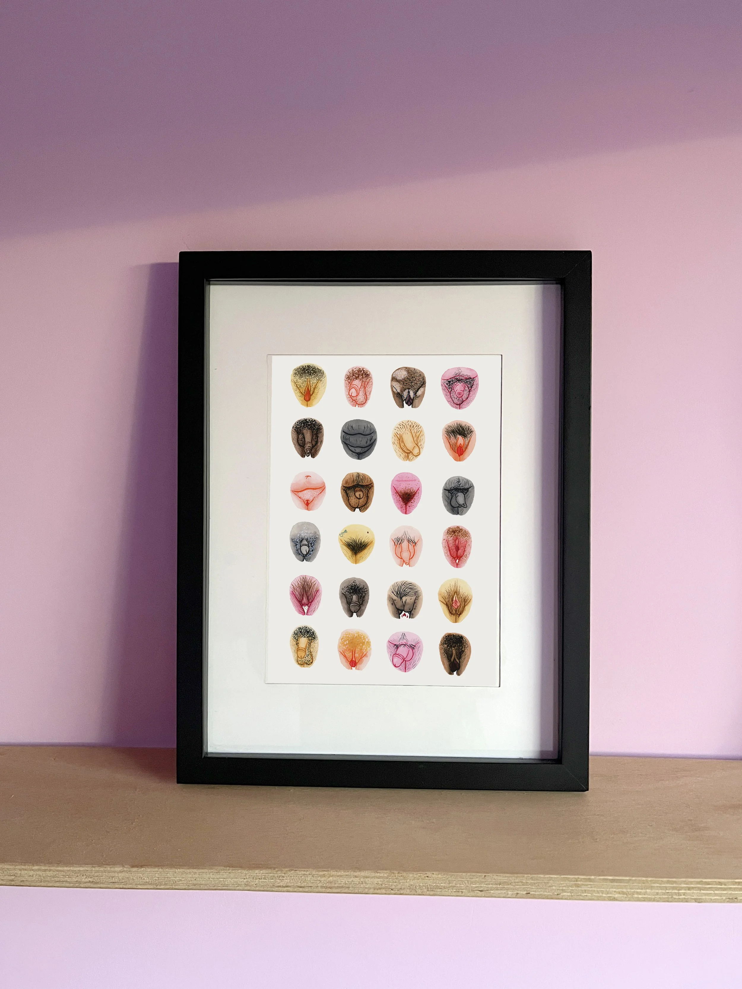 Vulva and Penis Diversity – Print – Framed on background.jpg
