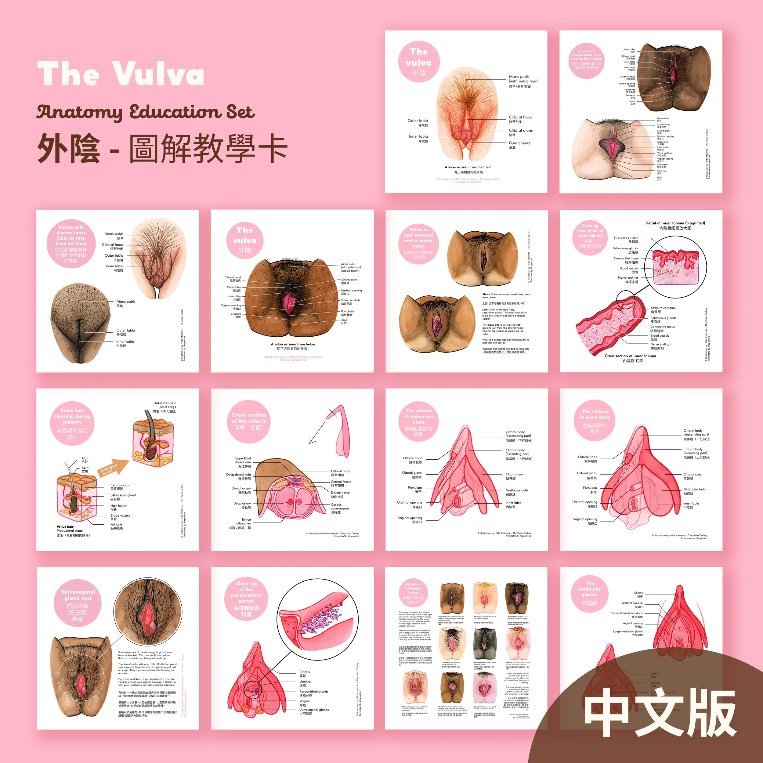 Education Print Set – All prints – Chinese.jpg