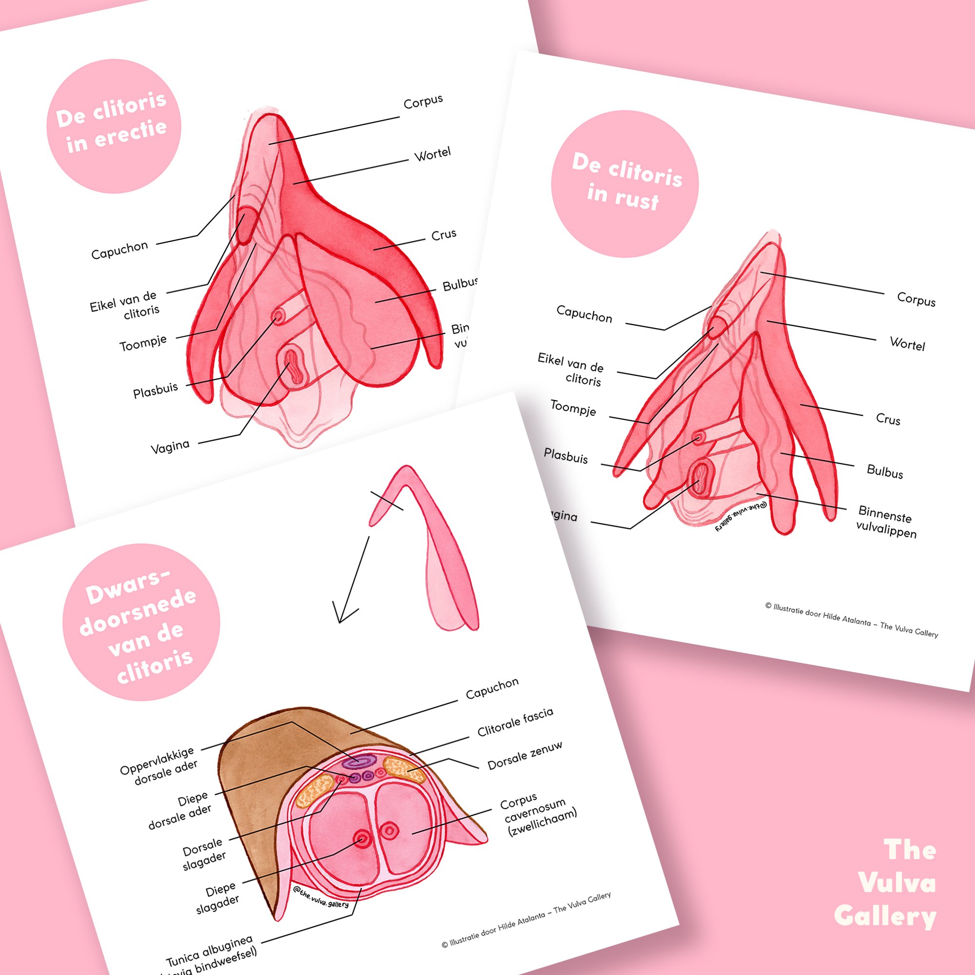 Education Print Set – Image 3 – Nederlands.jpg