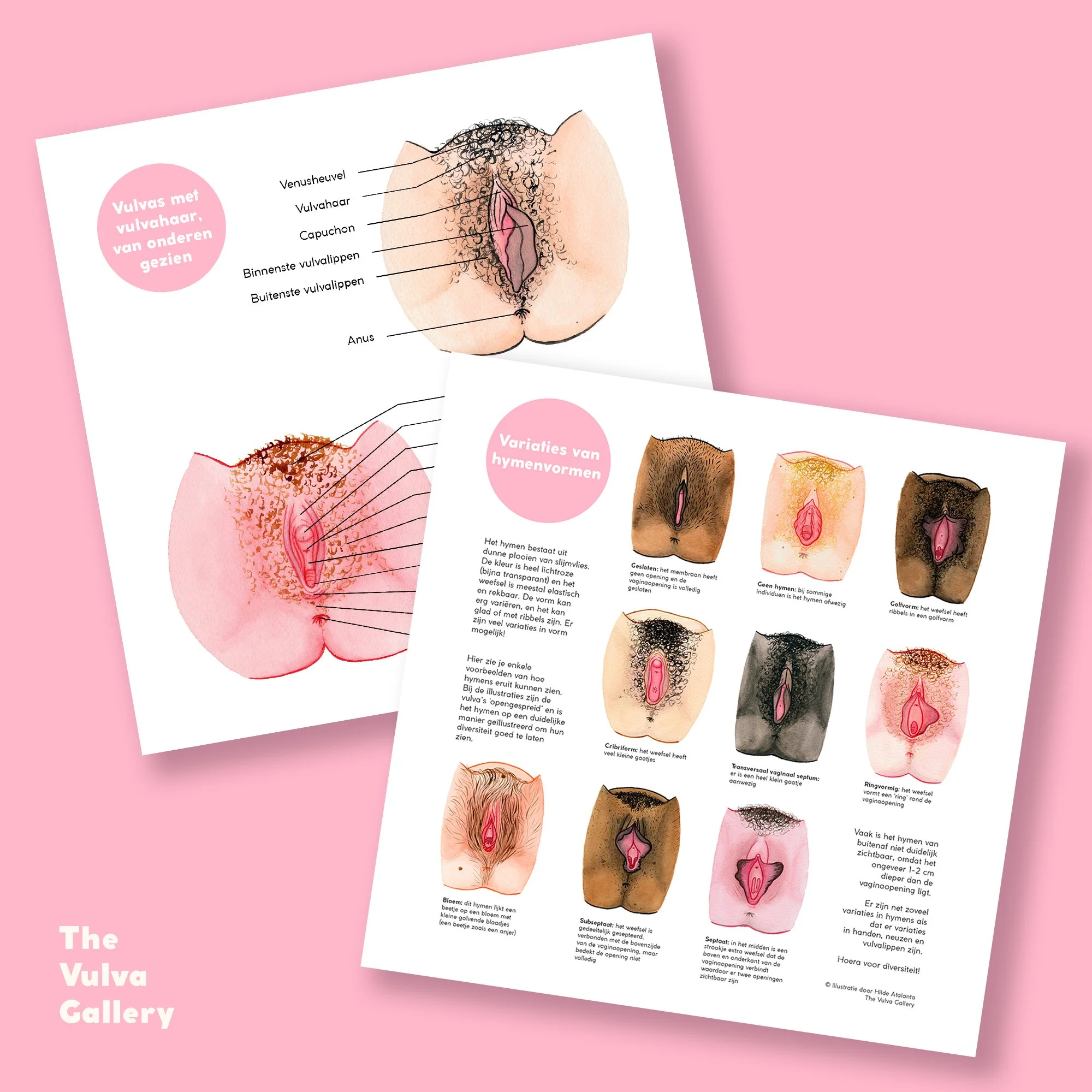 Education Print Set – Image 7 – Nederlands.jpg