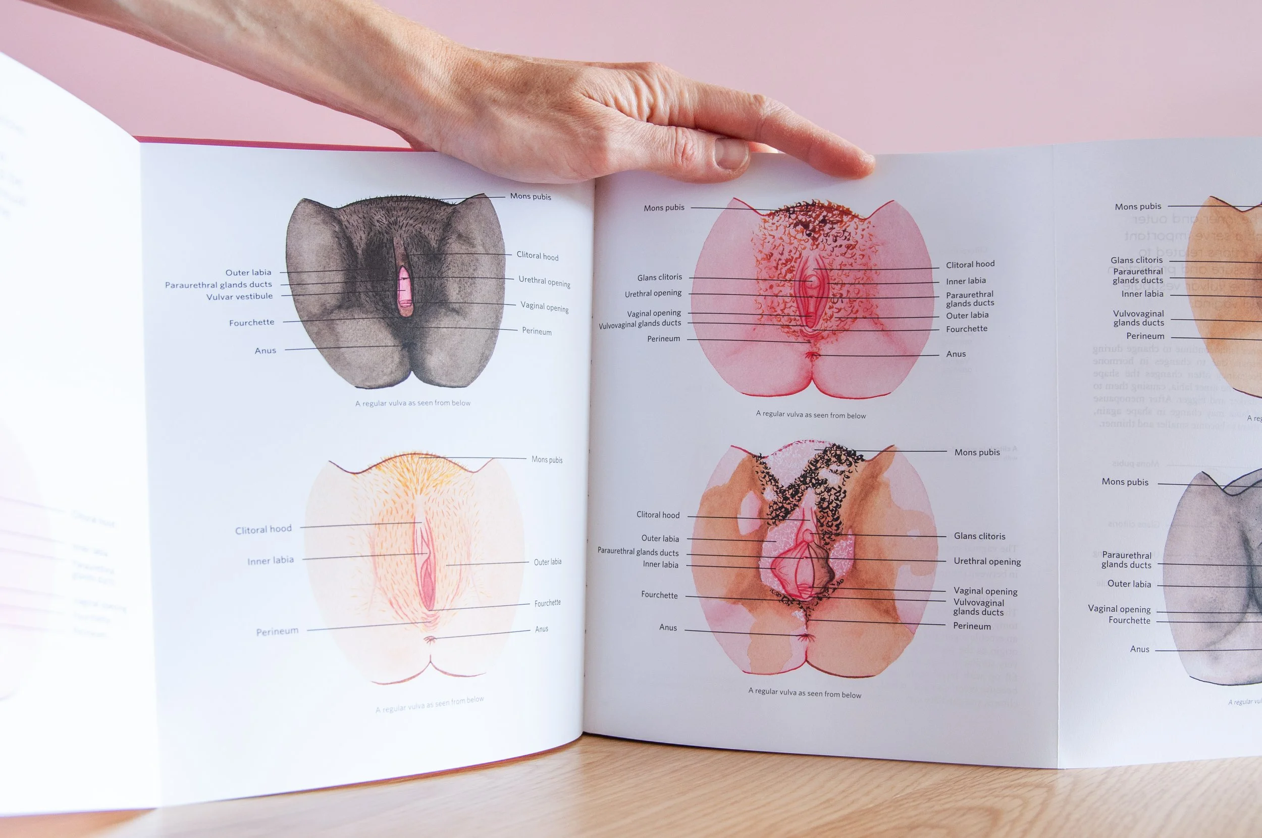 The Vulva Gallery – Book – 23.jpg