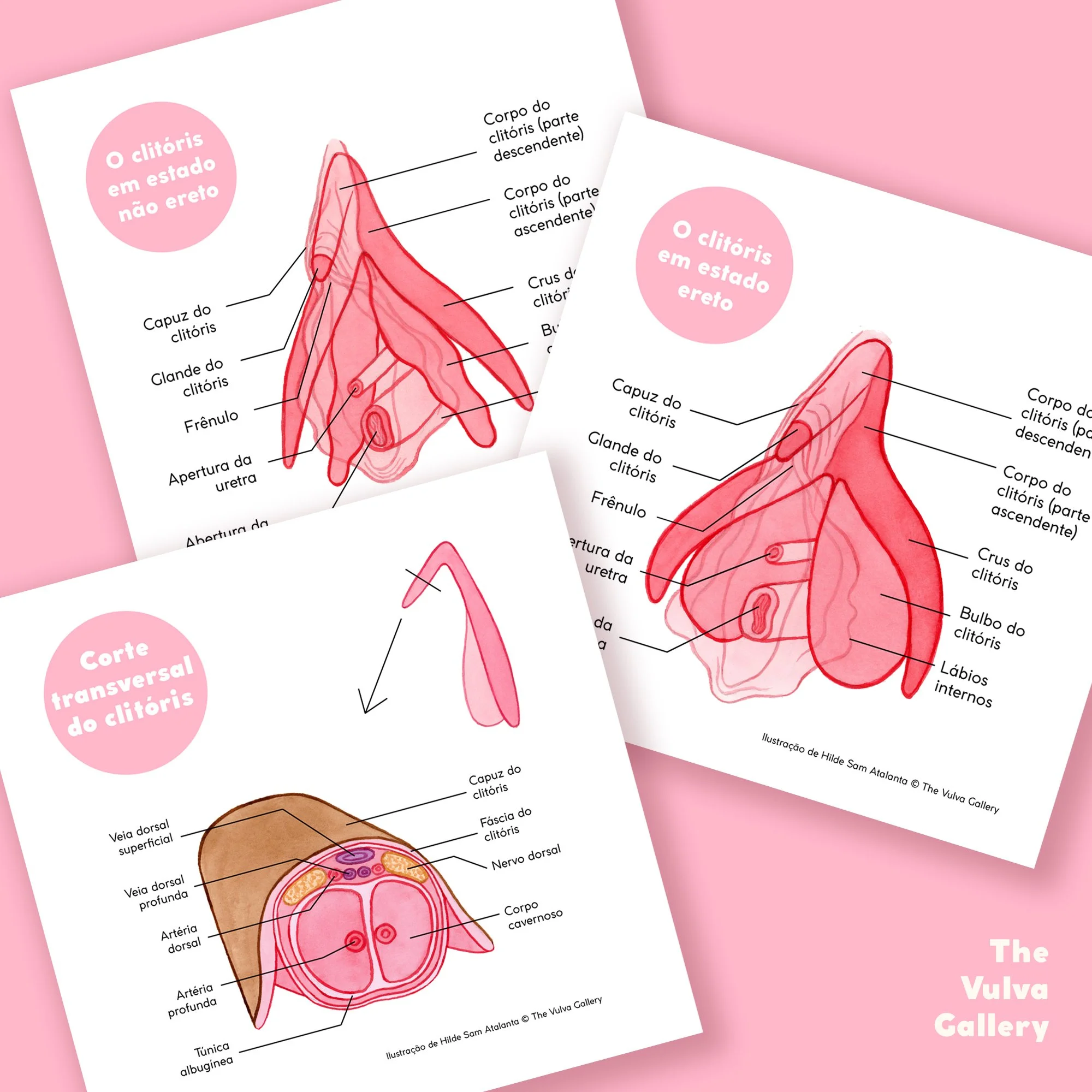 Education Print Set – Image 3 – Portuguese.jpg
