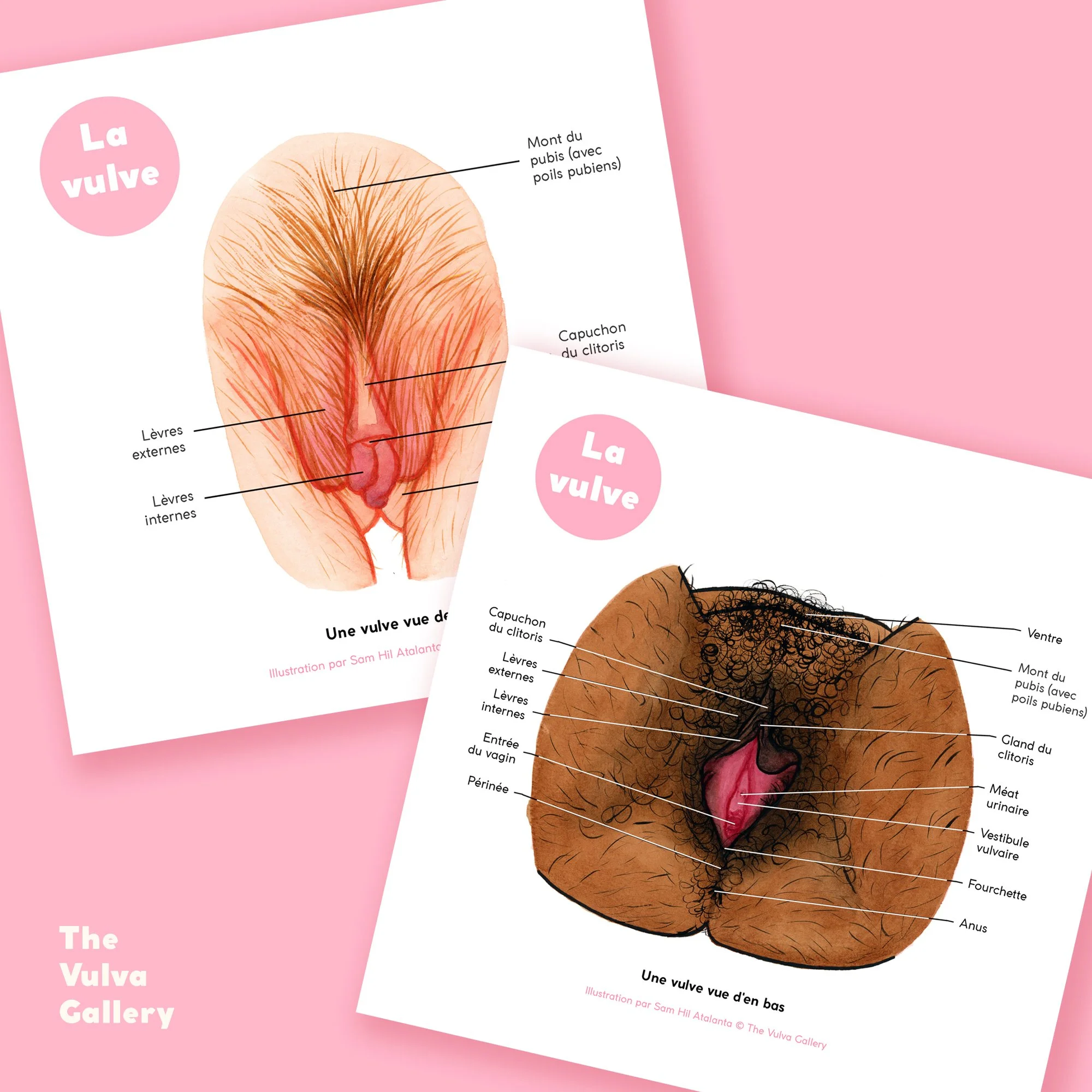 Education Print Set – Image 1 – French.jpg