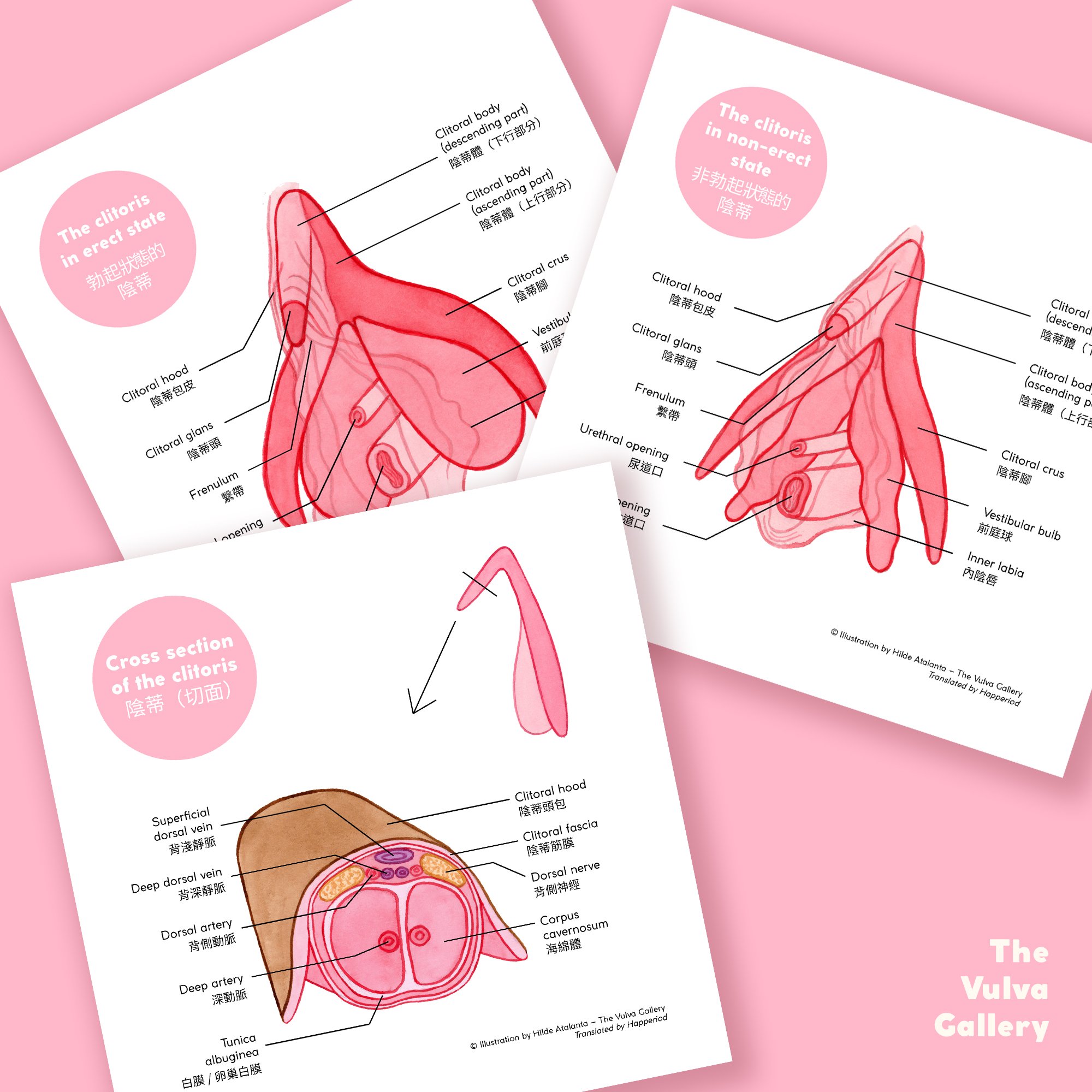 Education Print Set – Image 3 – Chinese.jpg