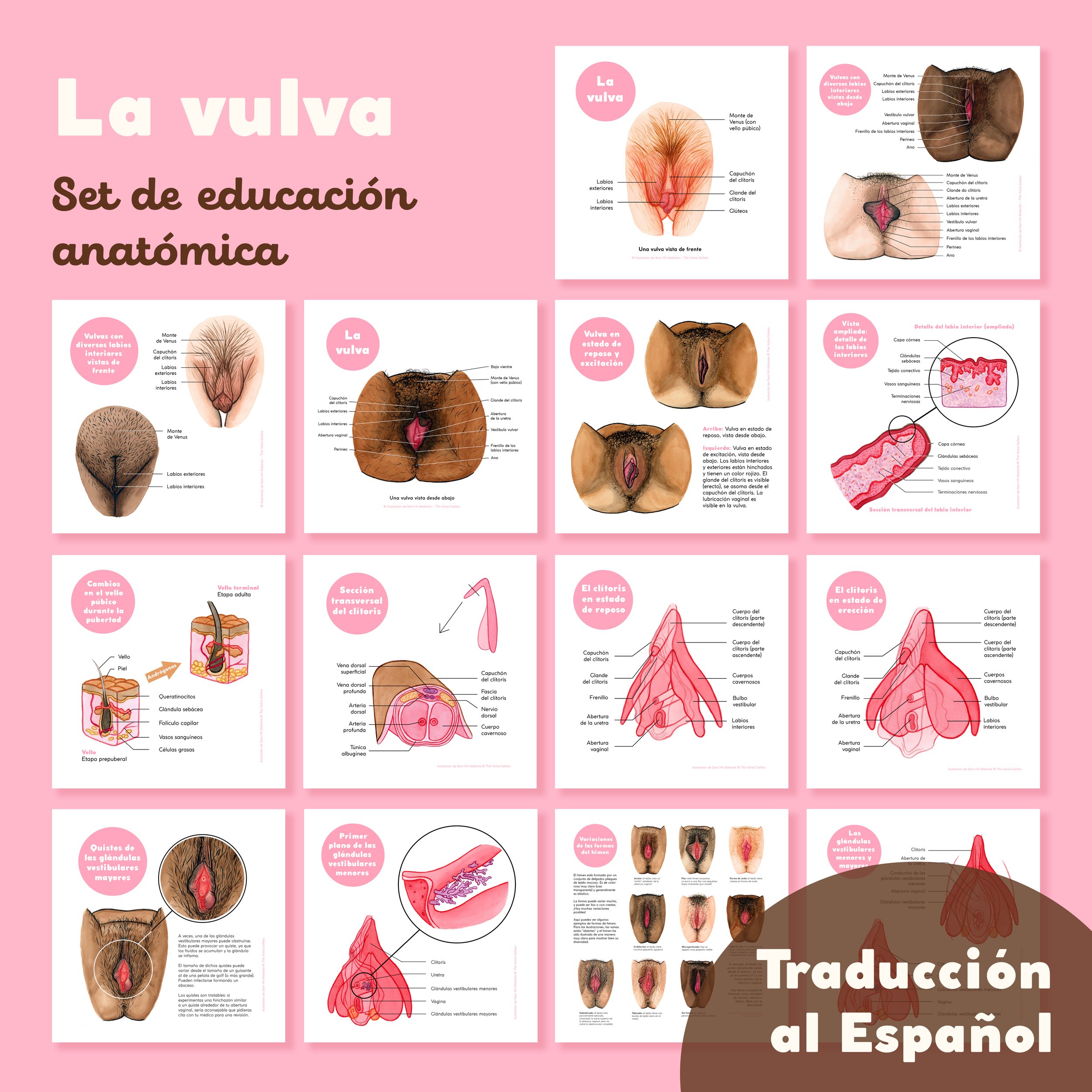 Education Print Set – All prints – Spanish.jpg
