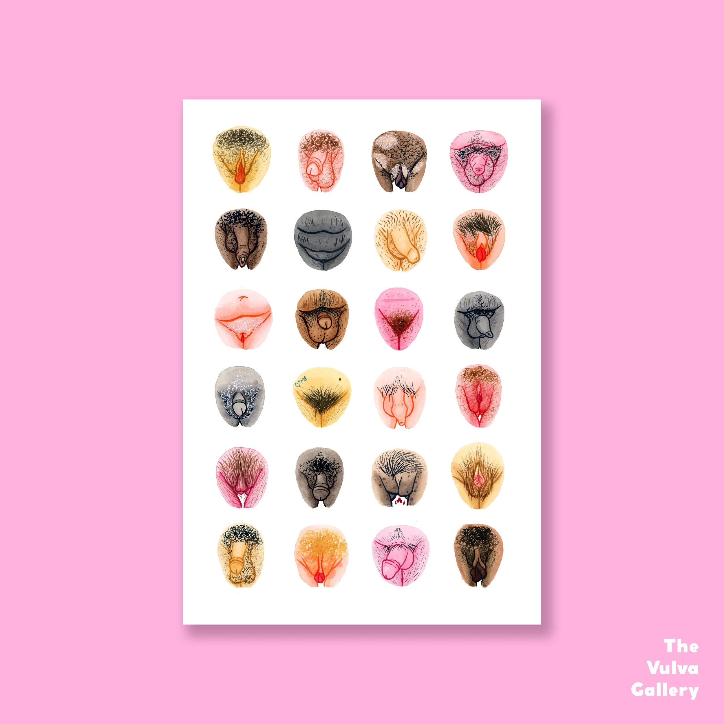 Vulva and Penis Diversity 2 – Print – On background.jpg