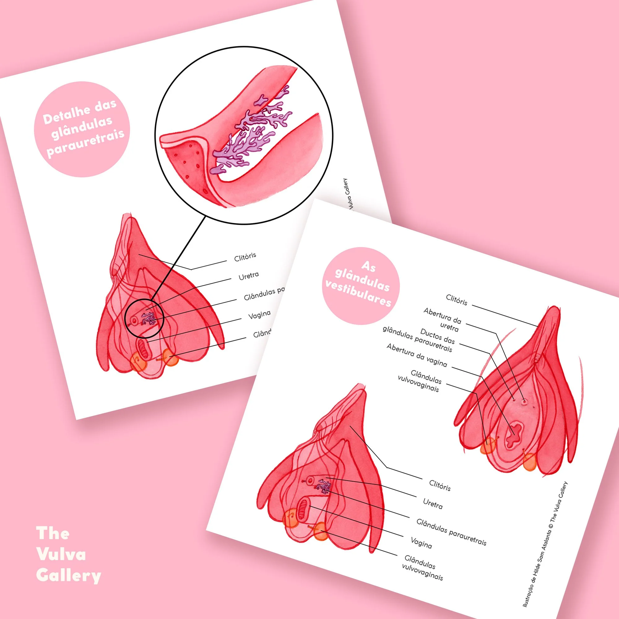 Education Print Set – Image 5 – Portuguese.jpg