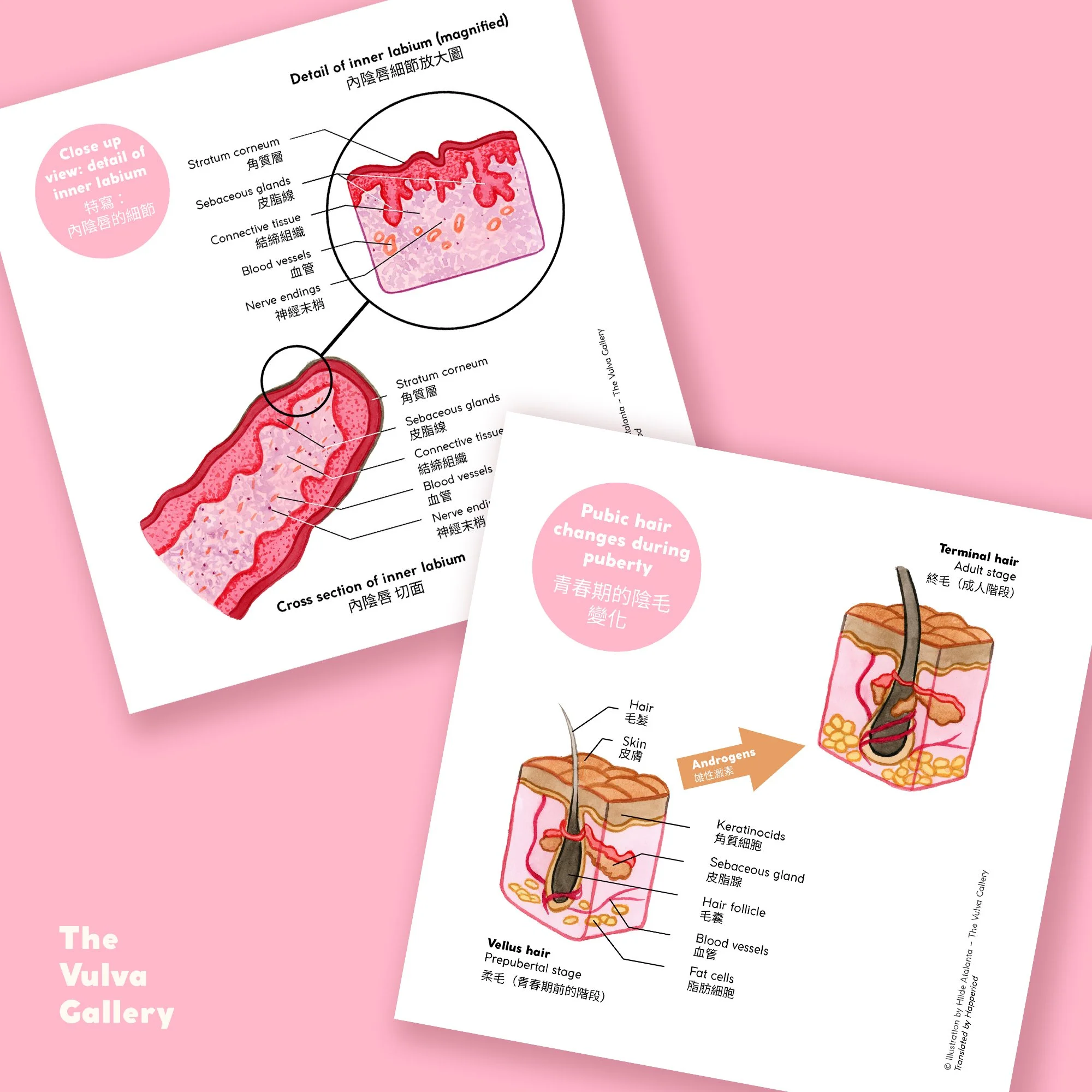 Education Print Set – Image 4 – Chinese.jpg