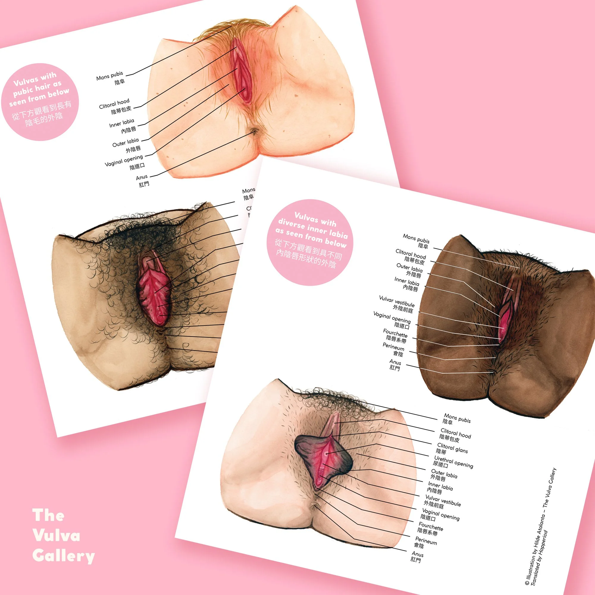 Education Print Set – Image 2 – Chinese.jpg