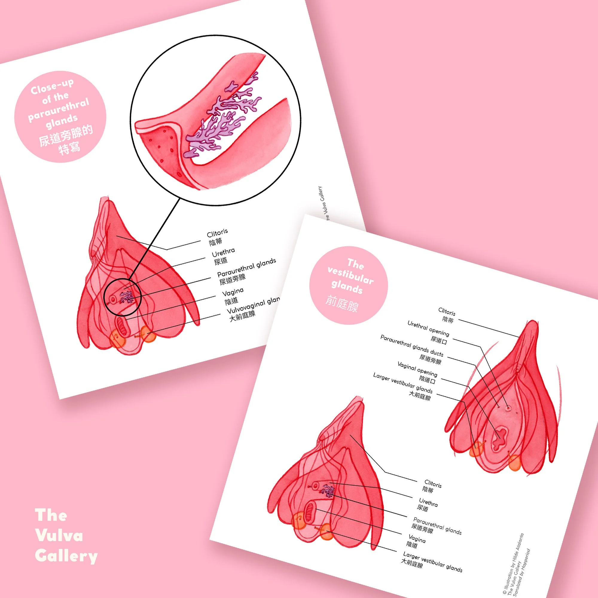 Education Print Set – Image 5 – Chinese.jpg