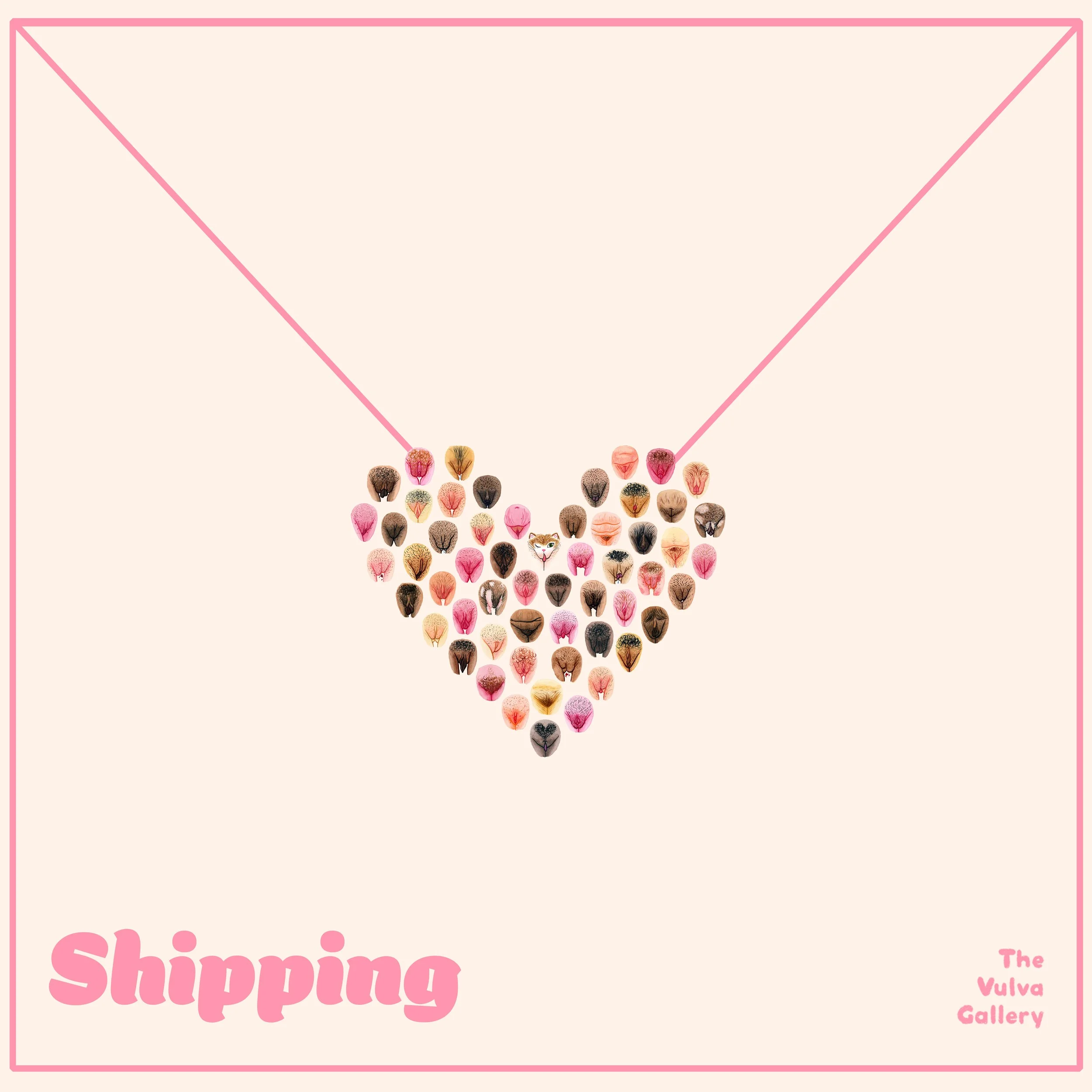 ✨ Shipping ✨
