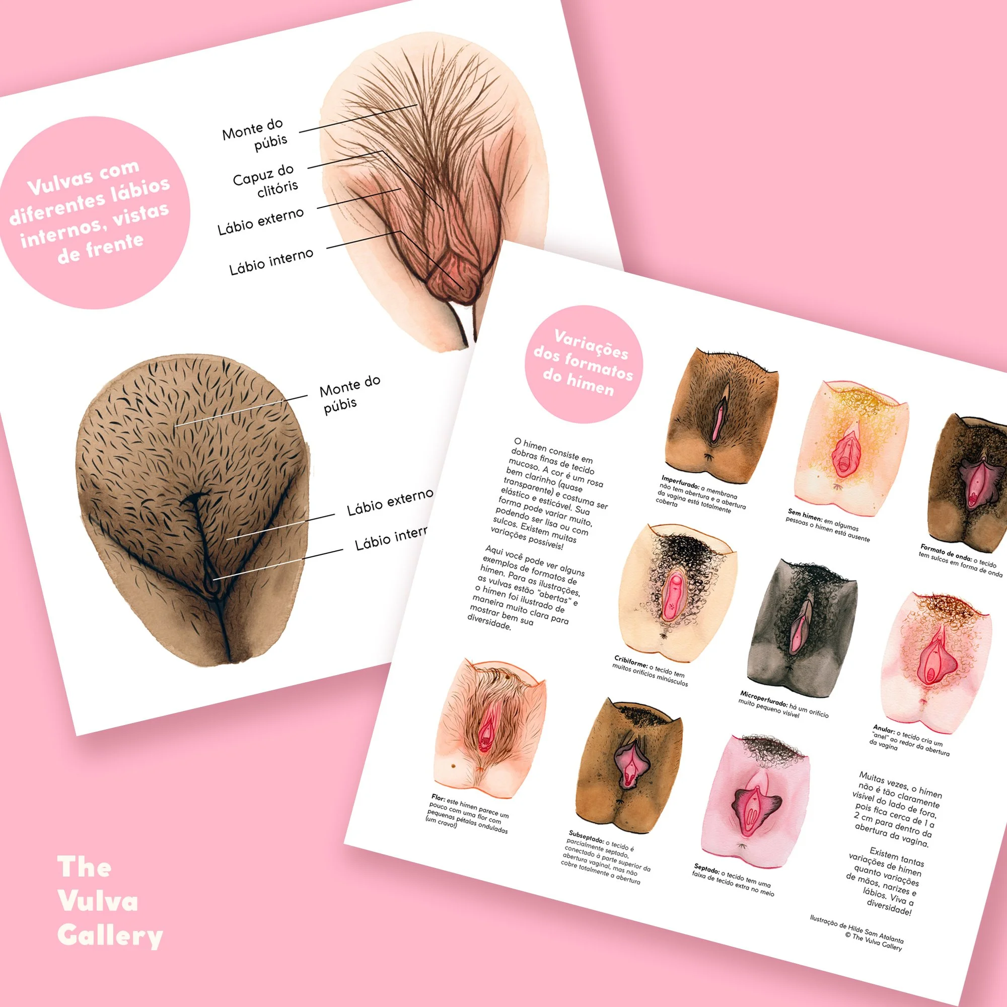 Education Print Set – Image 7 – Portuguese.jpg