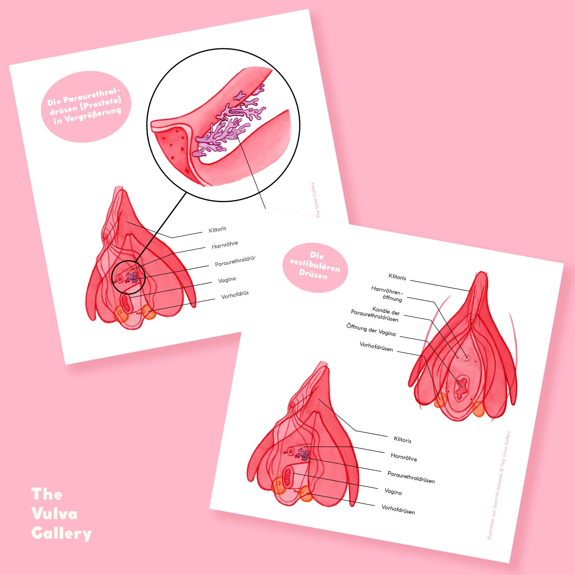 Education Print Set – Image 5 – German.jpg