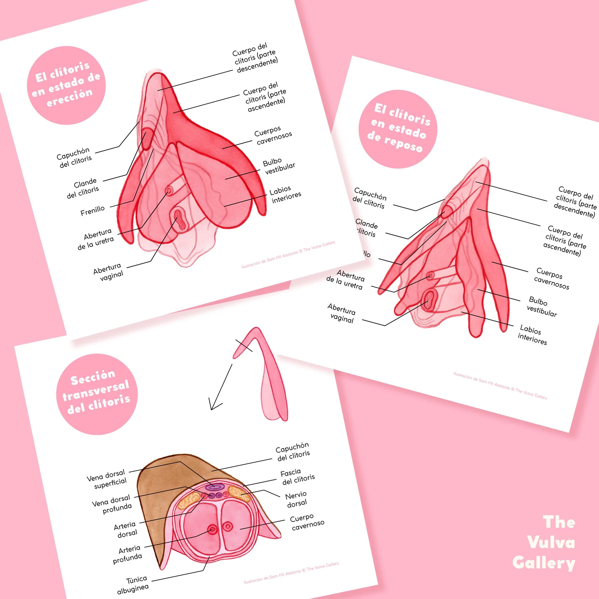 Education Print Set – Image 3 – Spanish.jpg