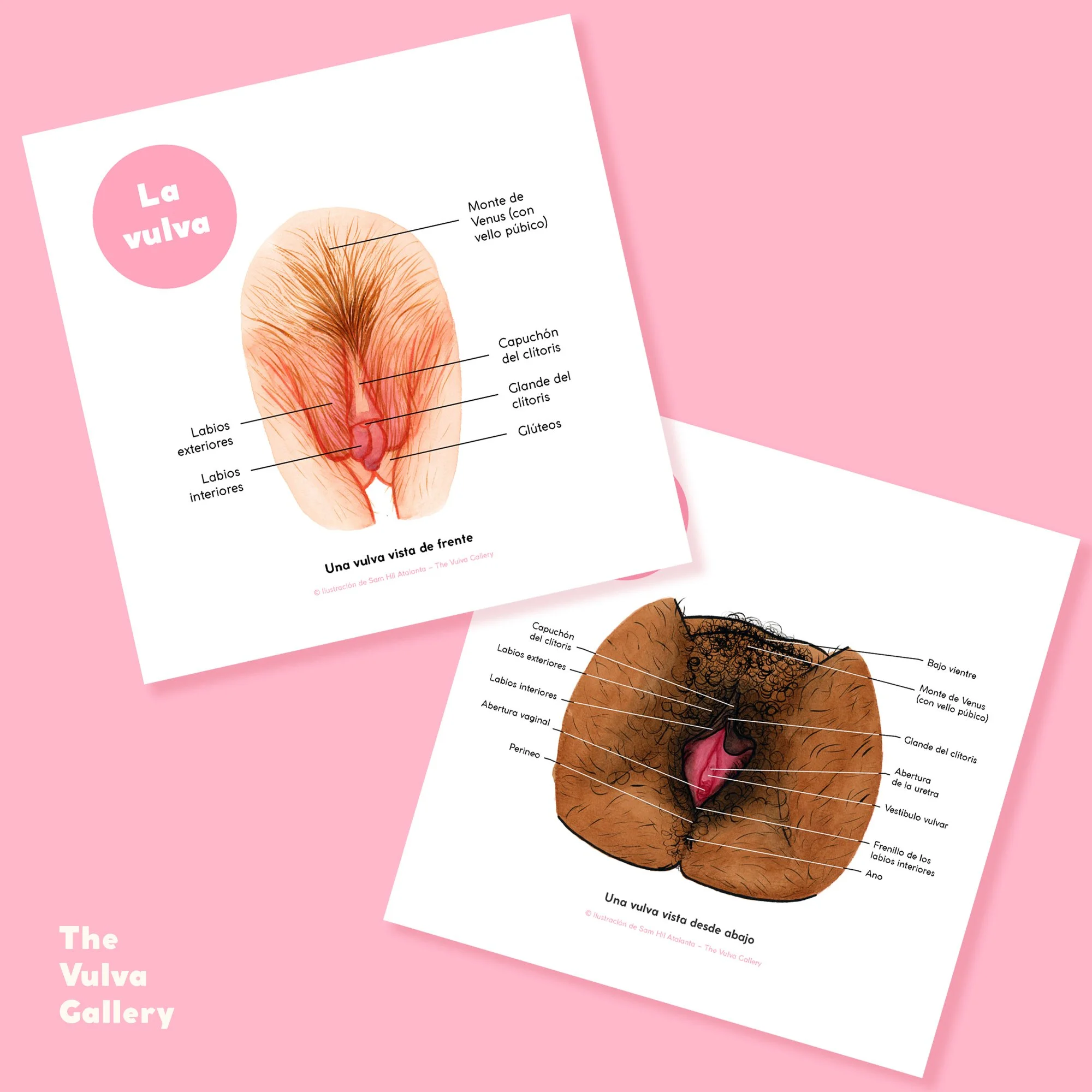 Education Print Set – Image 1 – Spanish.jpg