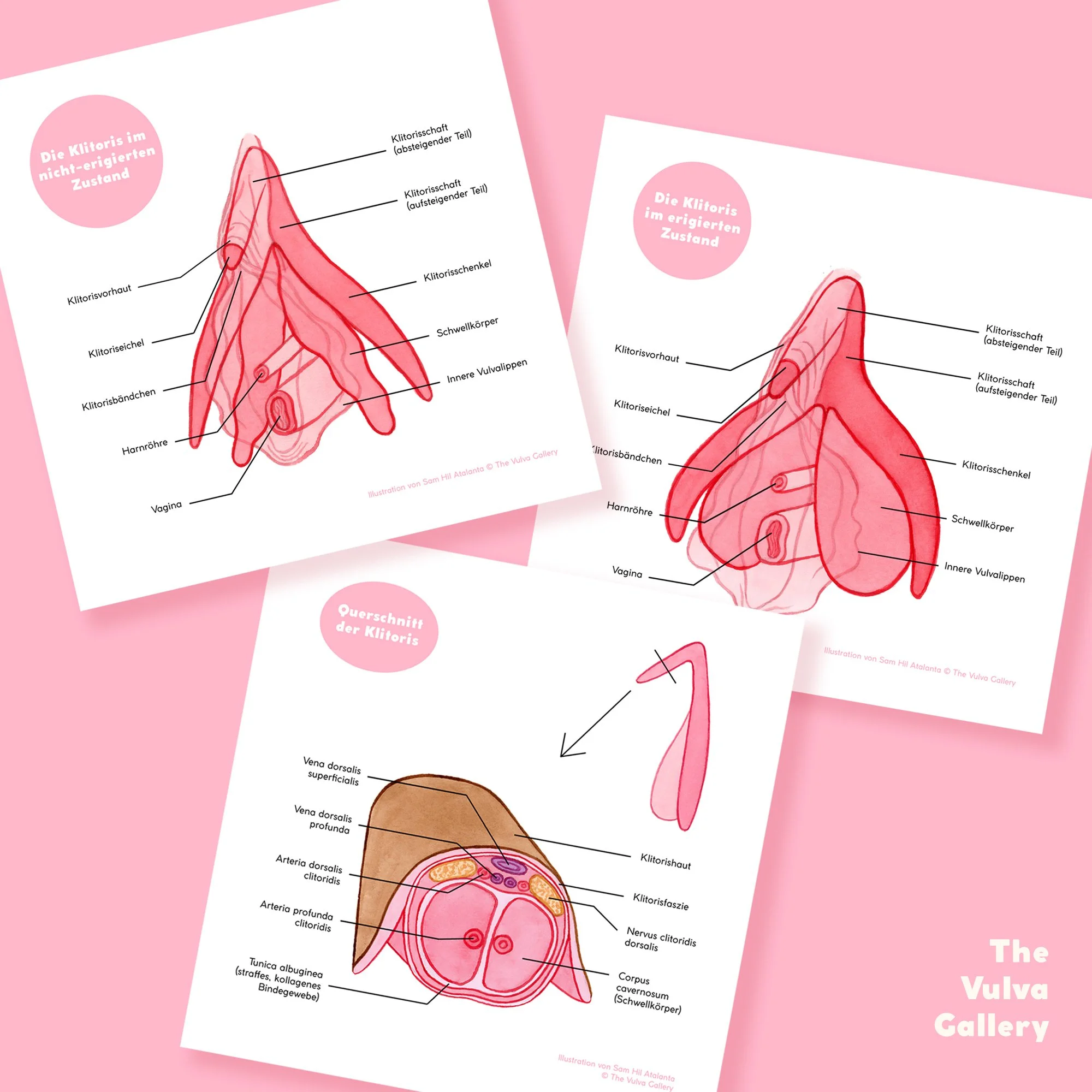 Education Print Set – Image 3 – German.jpg