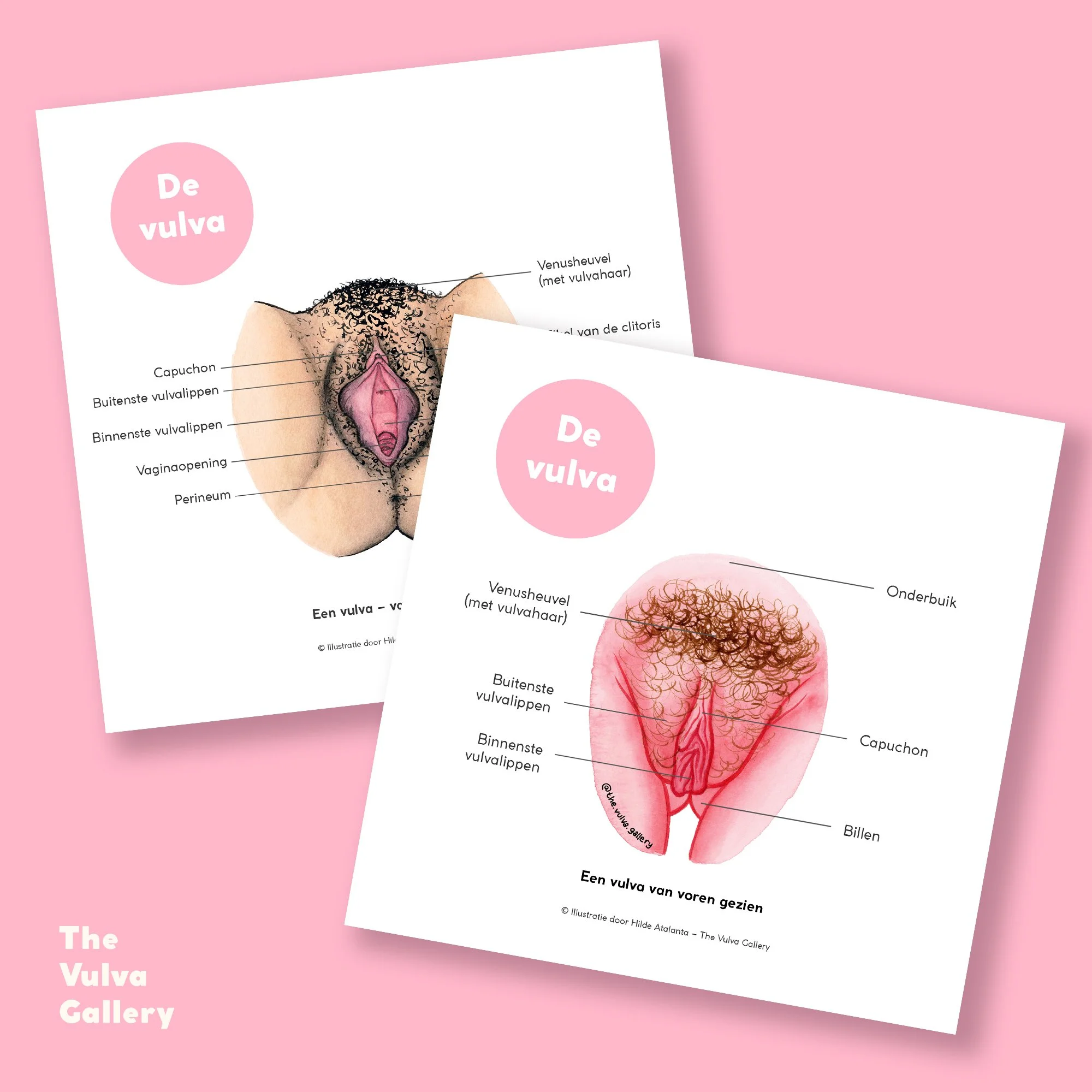 Education Print Set – Image 1 – Nederlands.jpg