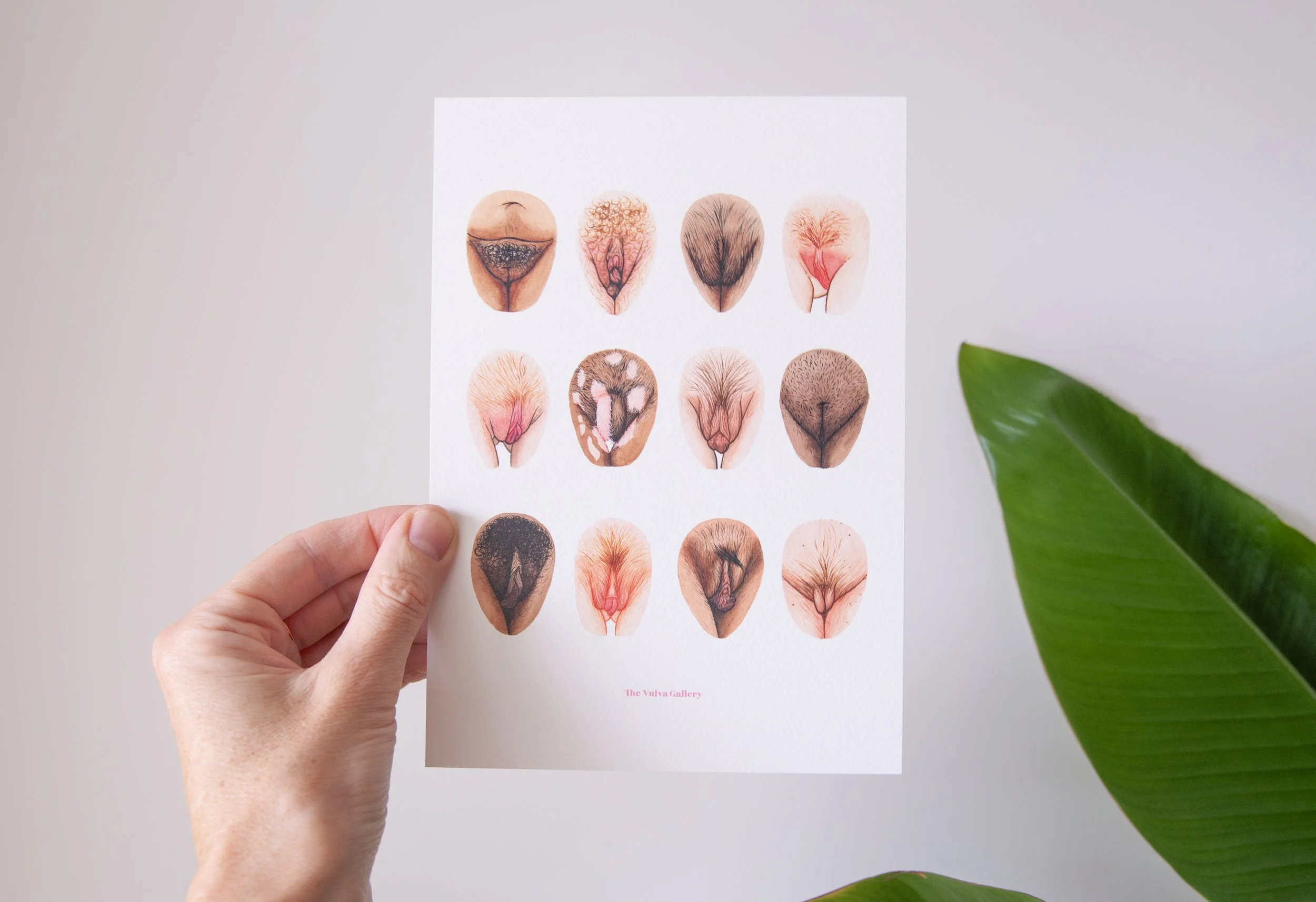 Vulva Variety – Limited A5 Print – 2026.2.jpg