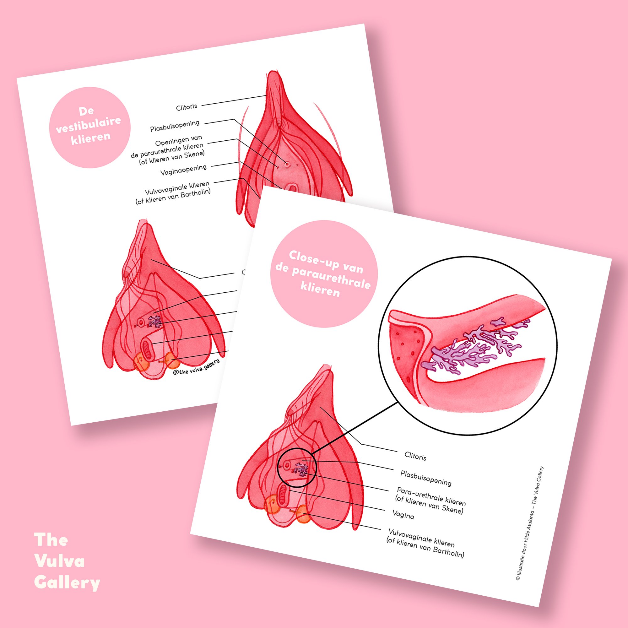 Education Print Set – Image 5 – Nederlands.jpg