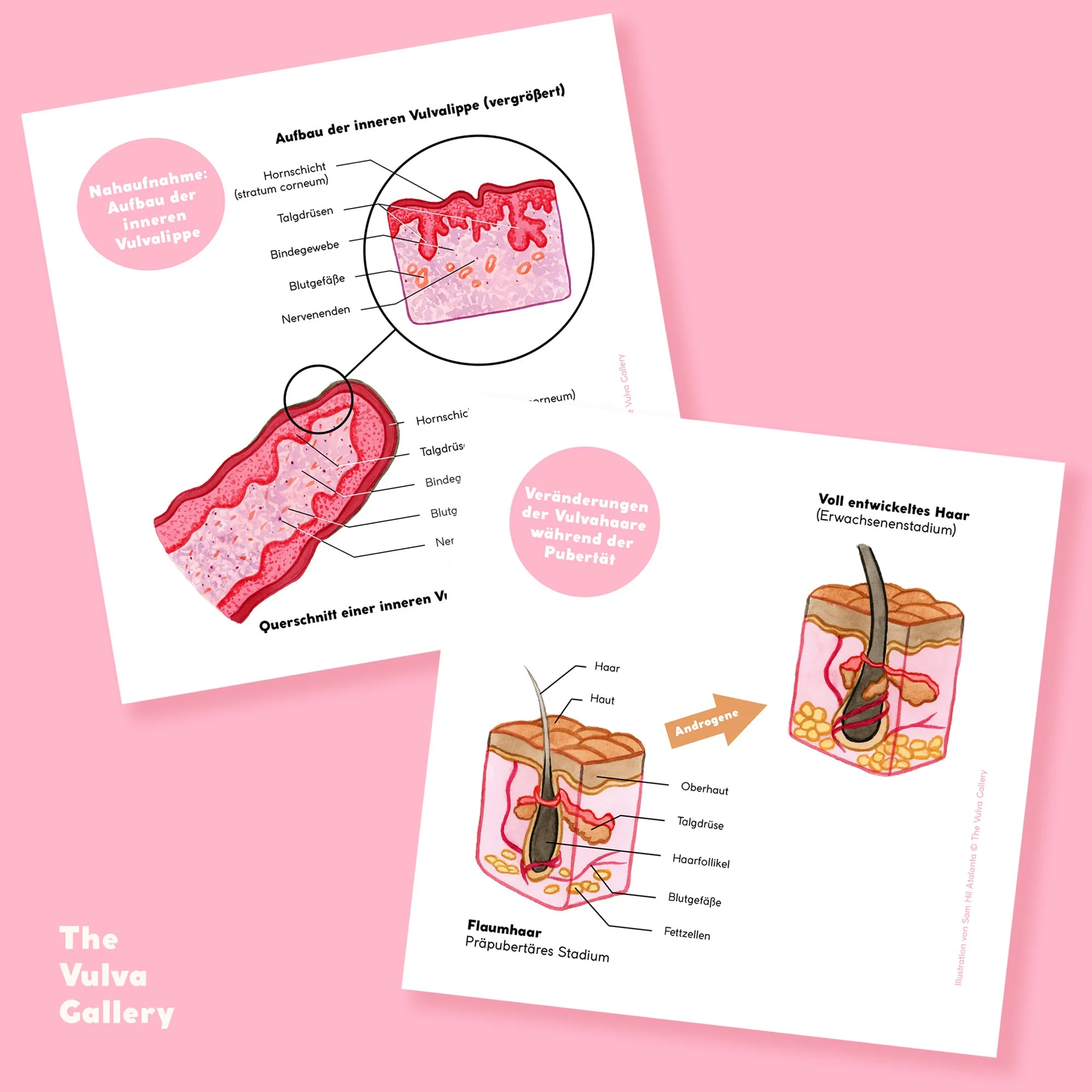 Education Print Set – Image 4 – German.jpg