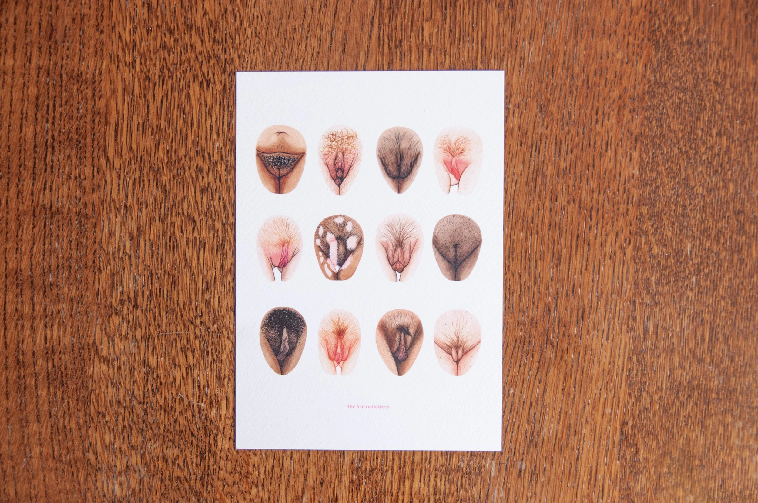 Vulva Variety – Limited A5 Print – 2026.3.jpg