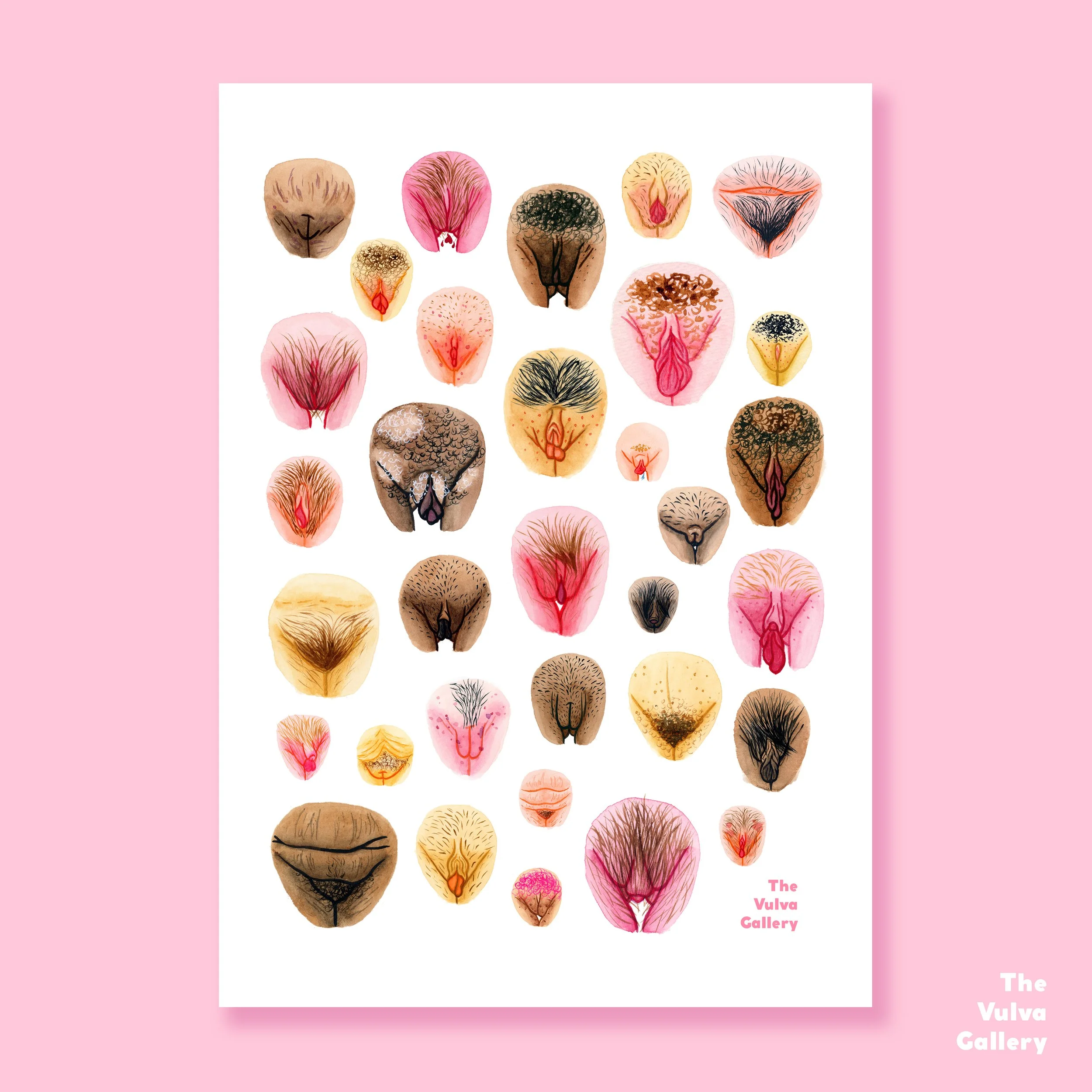 Vulva Variety II Print – On background (pink).jpg