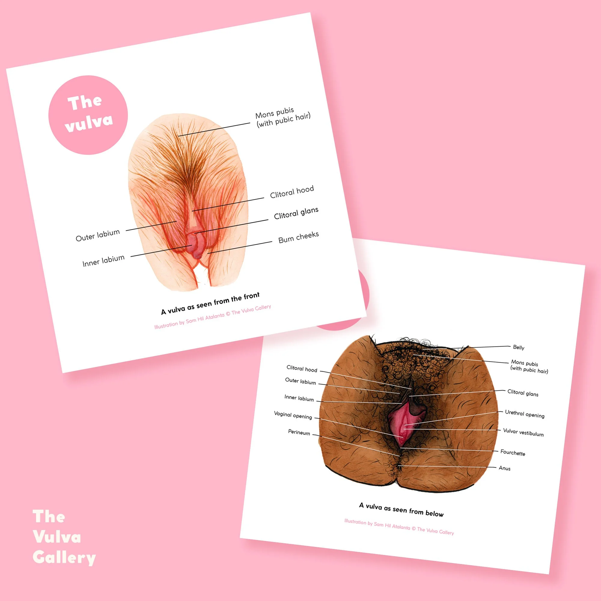 Education Print Set – Image 1 – German.jpg