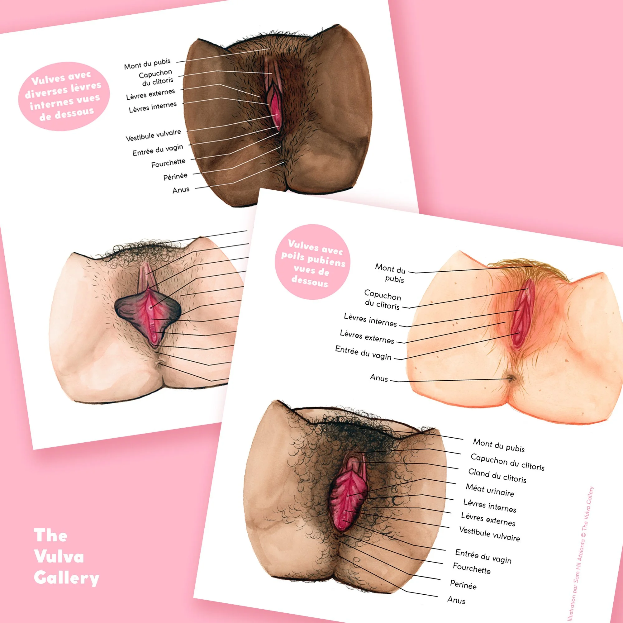 Education Print Set – Image 2 – French.jpg