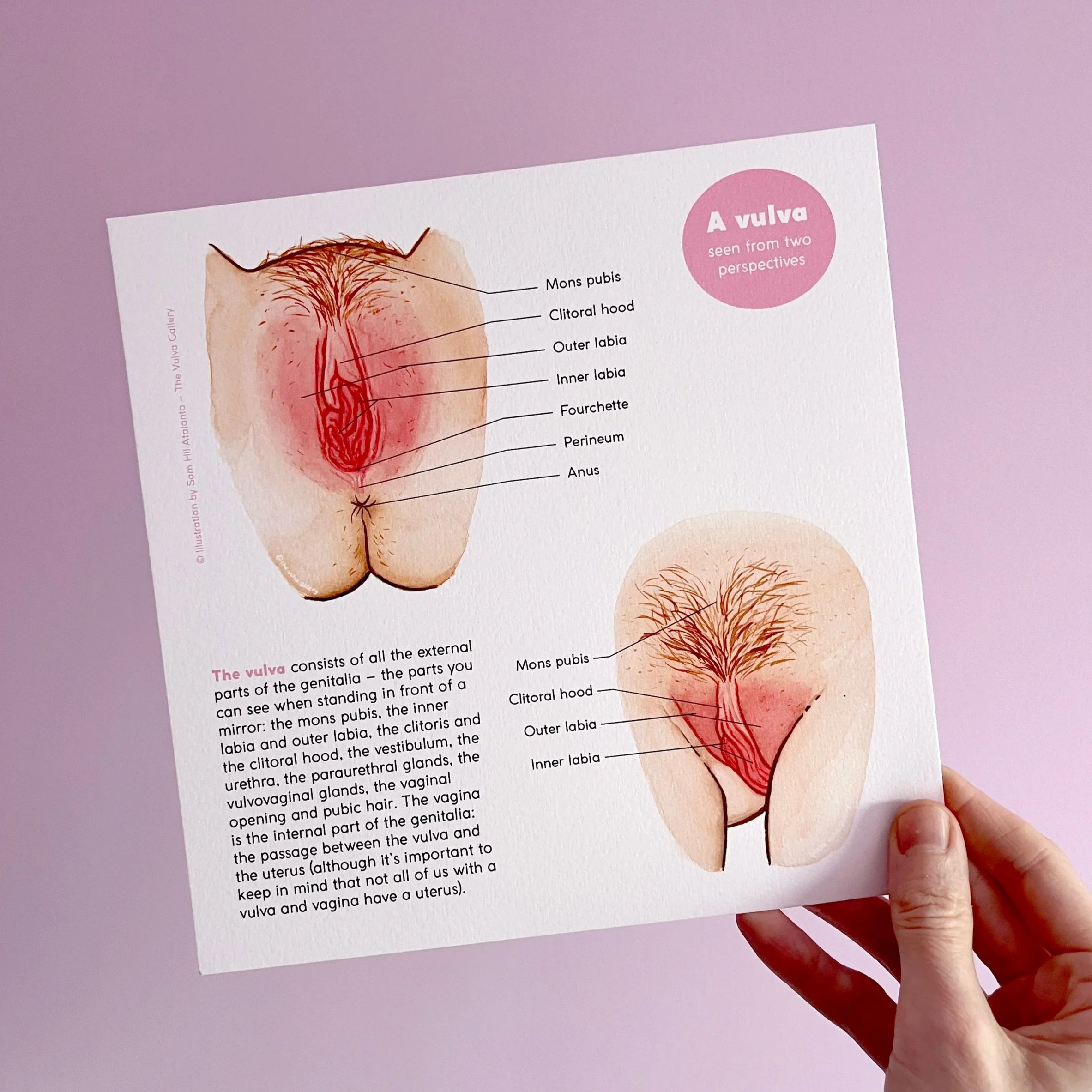 Vulva+%E2%80%93+Two+perspectives+%E2%80%93+Print.jpg