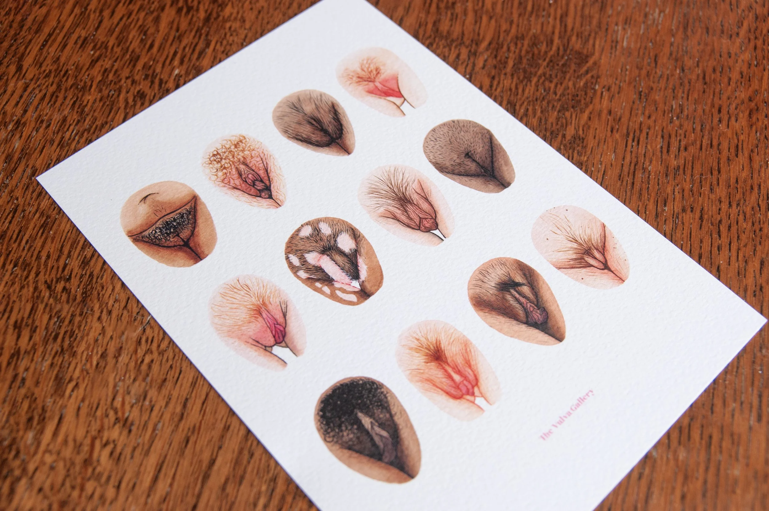 Vulva Variety – Limited A5 Print – 2026.4.jpg