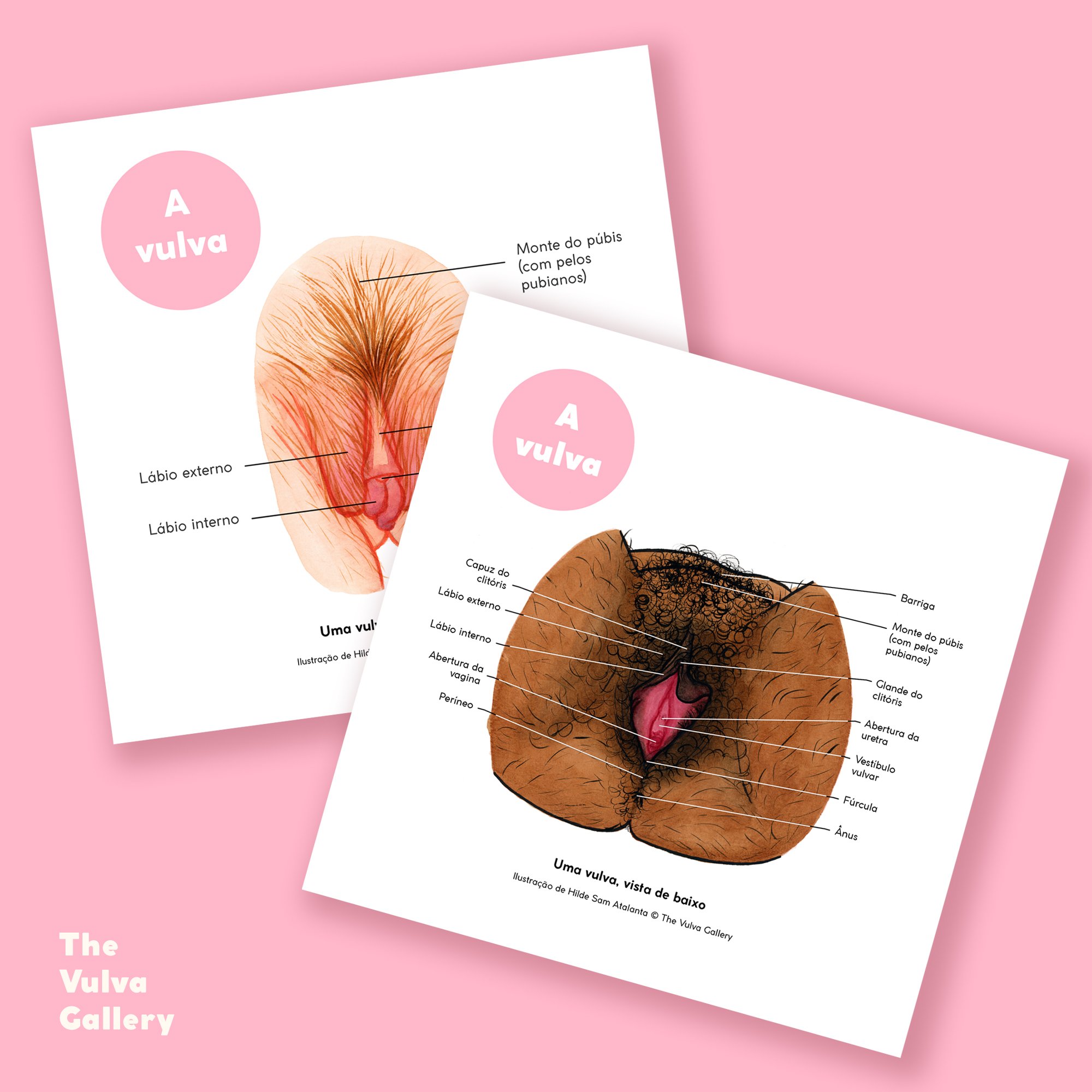 Education Print Set – Image 1 – Portuguese.jpg